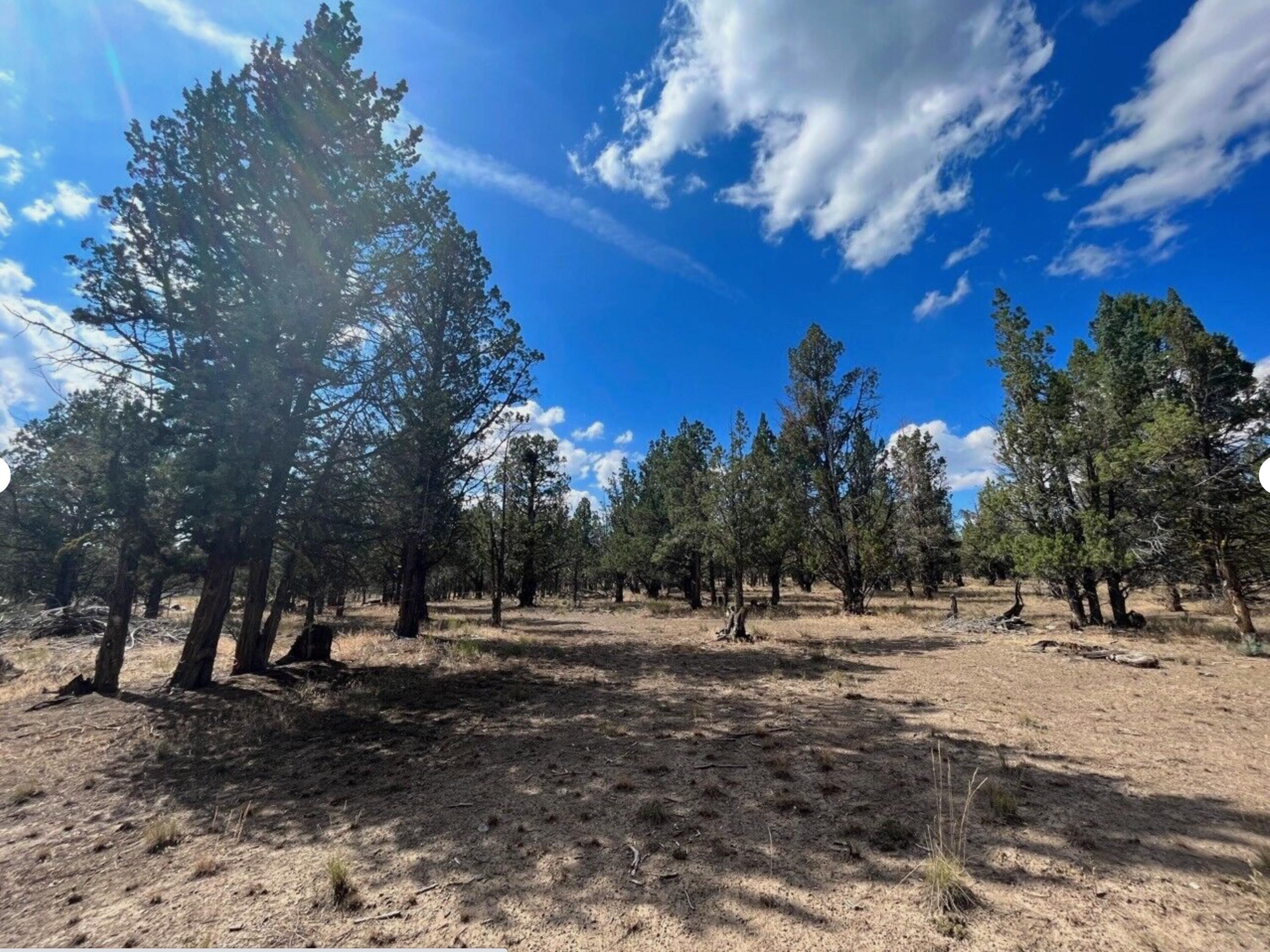 0 Goose Loop Alturas, CA 96101 - Photo 15 of 16 a view of outdoor space with trees