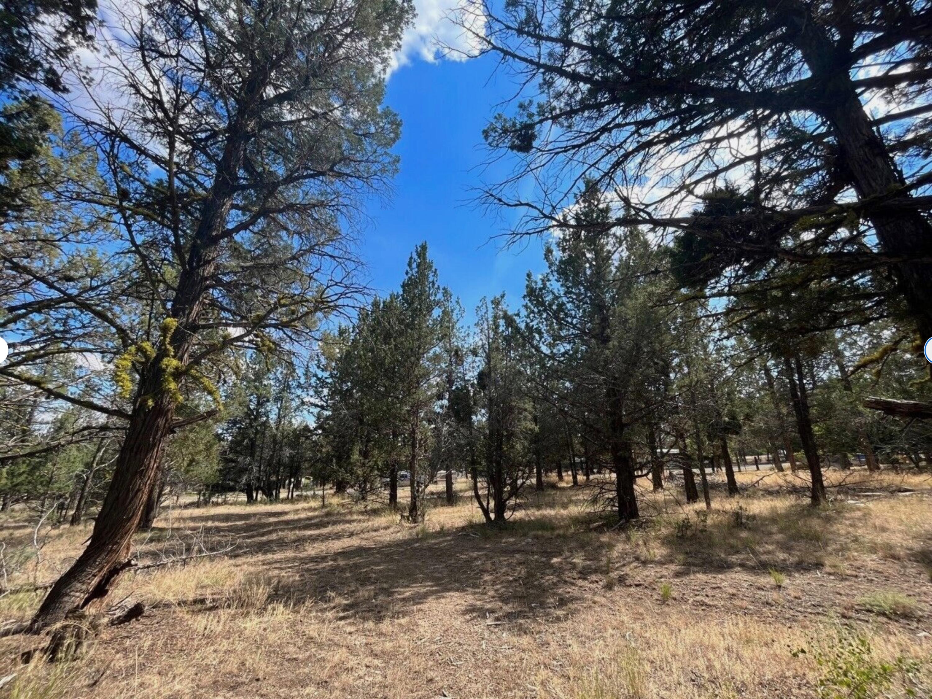 0 Goose Loop Alturas, CA 96101 - Photo 2 of 16 a view of a yard with a tree
