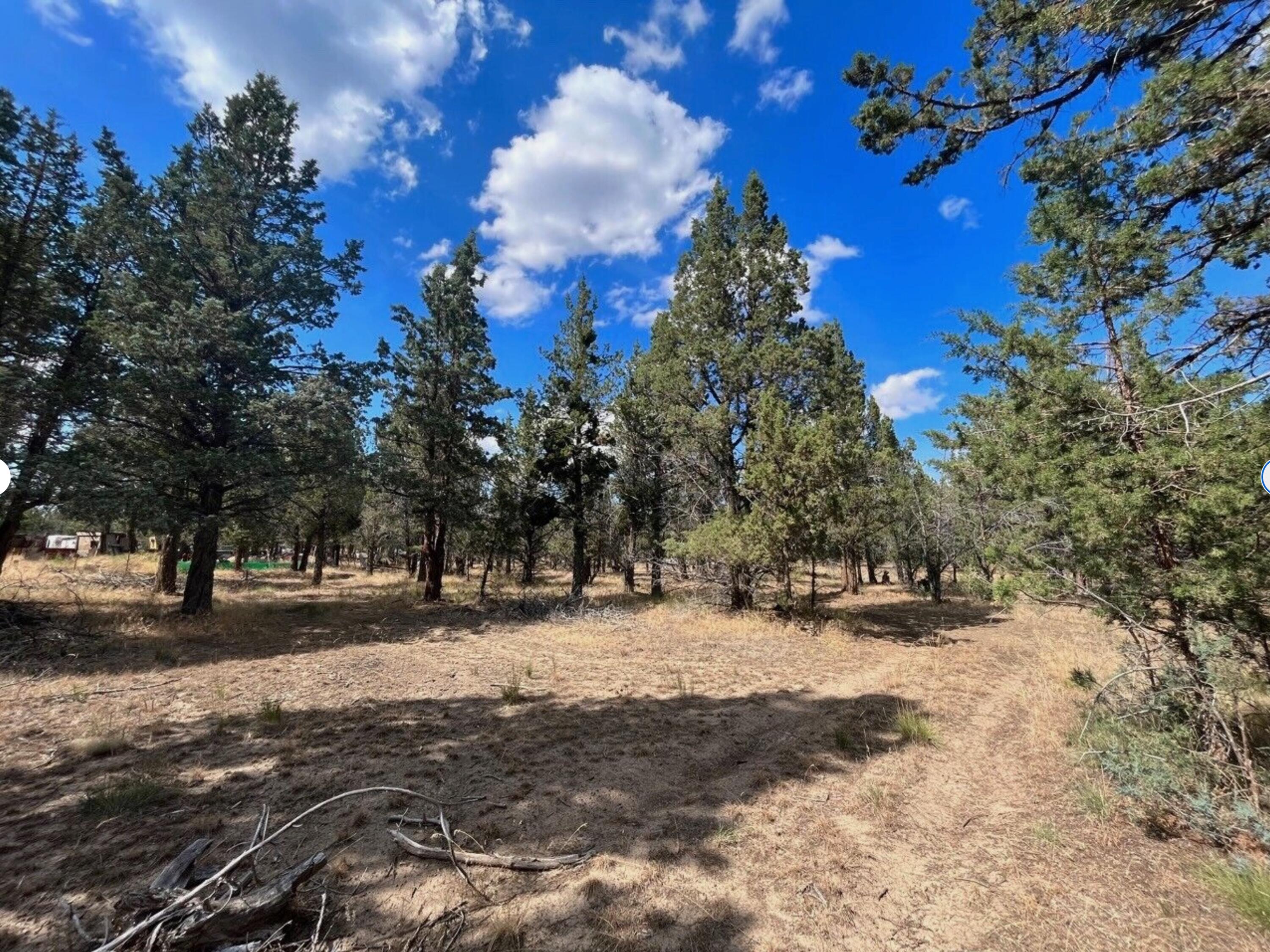 0 Goose Loop Alturas, CA 96101 - Photo 3 of 16 a view of a yard covered with snow in front of house