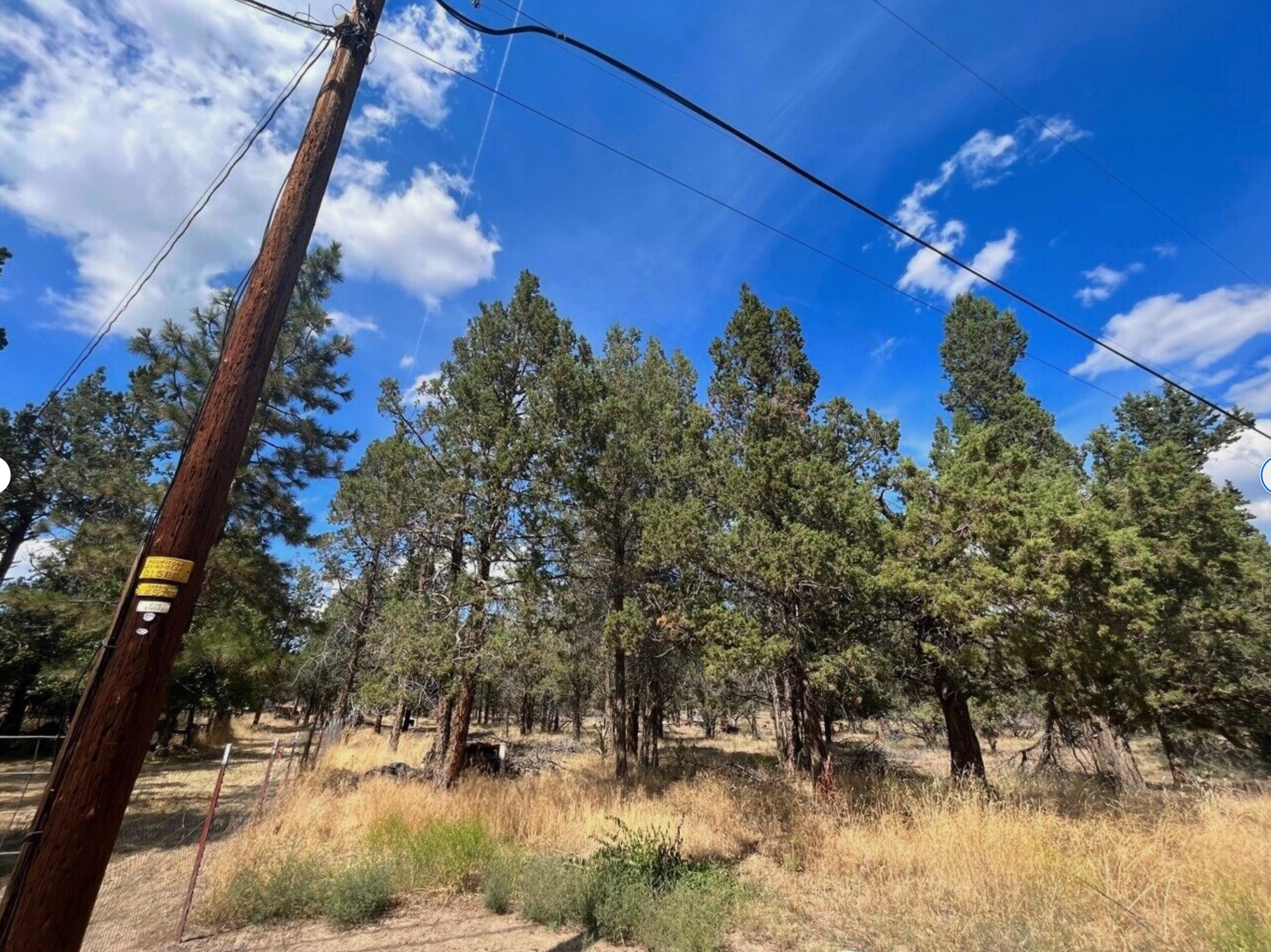 0 Goose Loop Alturas, CA 96101 - Photo 4 of 16 a view of a lake with swimming pool