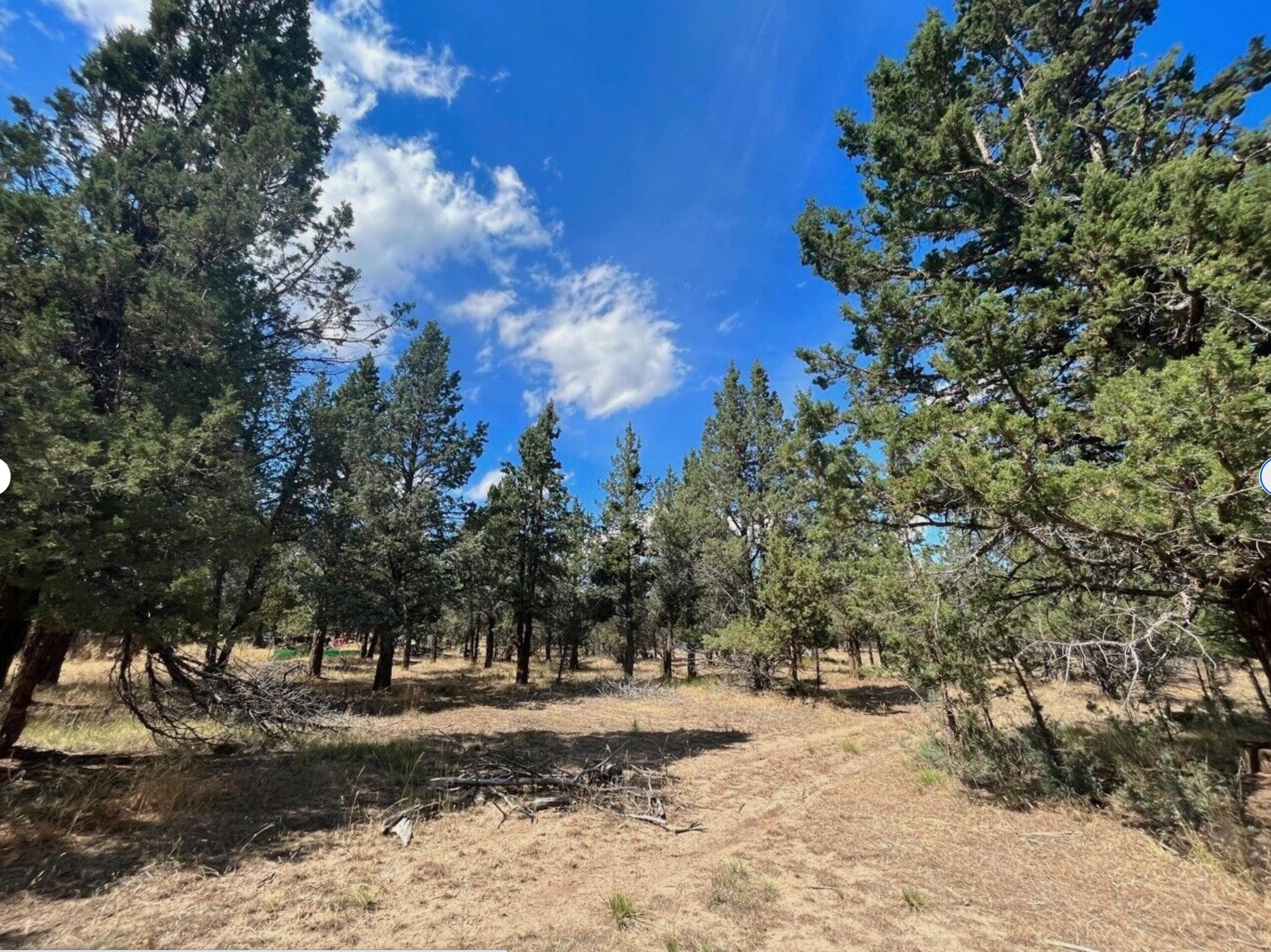 0 Goose Loop Alturas, CA 96101 - Photo 6 of 16 a view of a yard with a tree