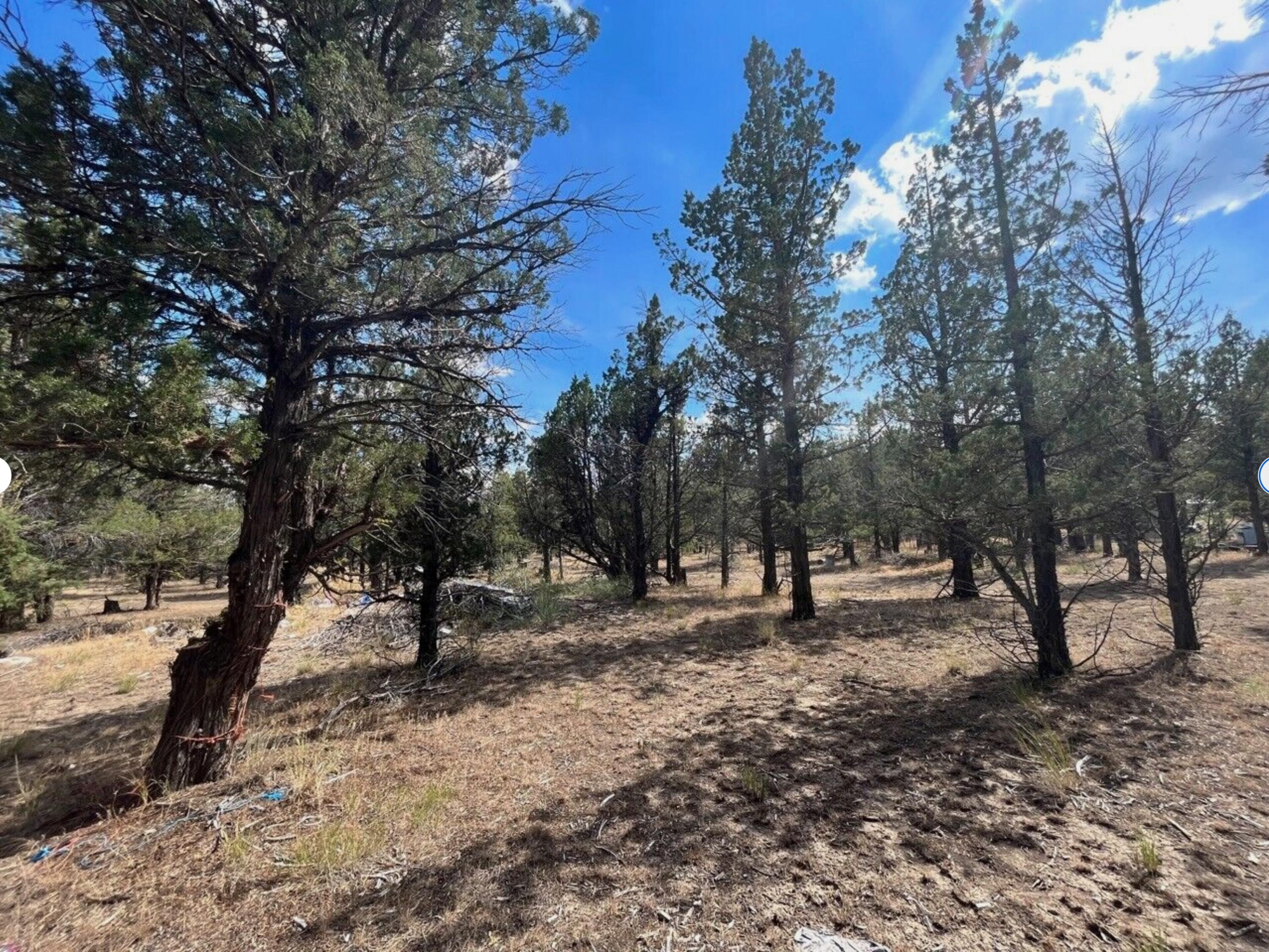 0 Goose Loop Alturas, CA 96101 - Photo 7 of 16 a view of outdoor space with lots of trees