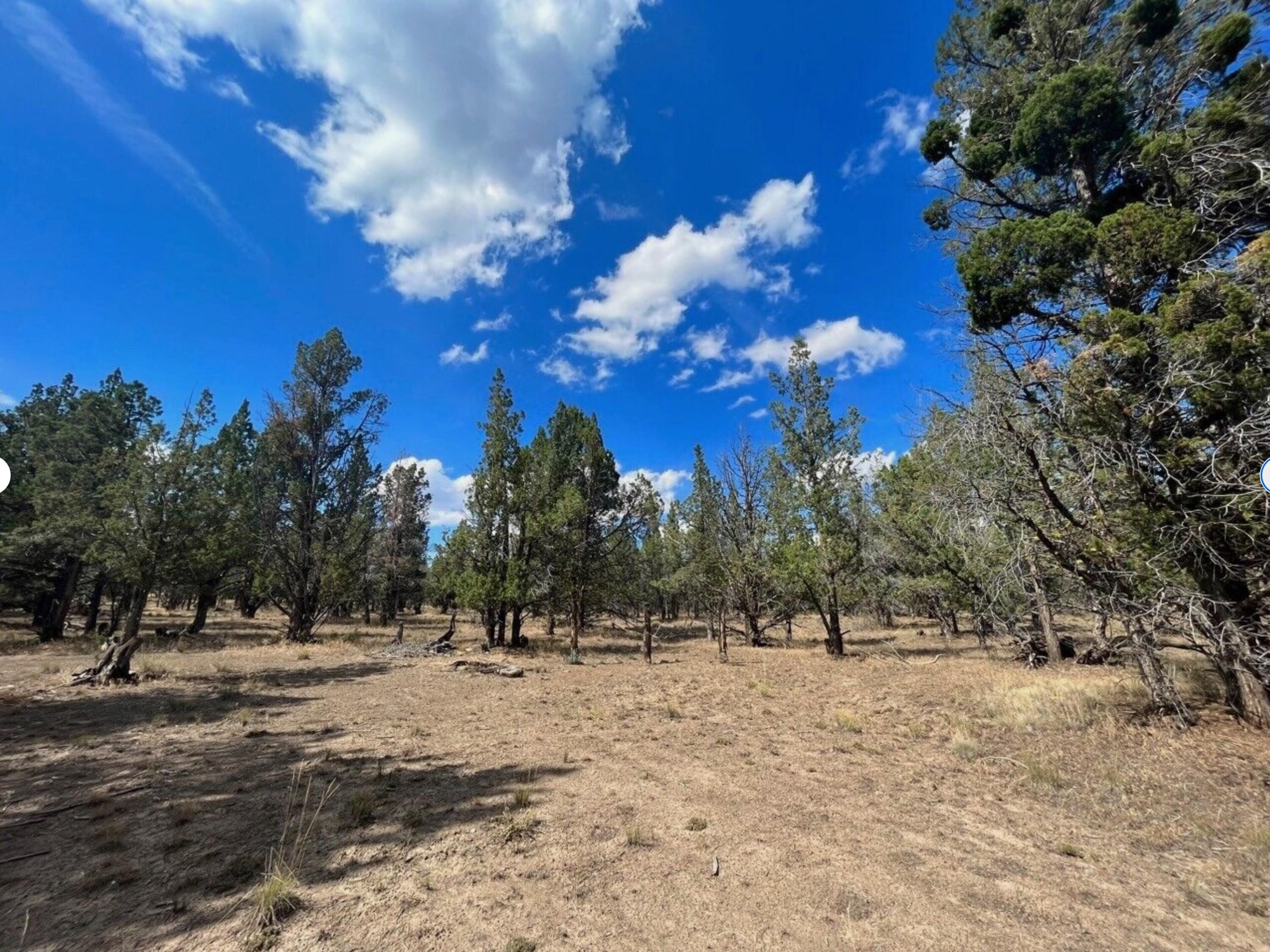 0 Goose Loop Alturas, CA 96101 - Photo 9 of 16 a view of covered with snow