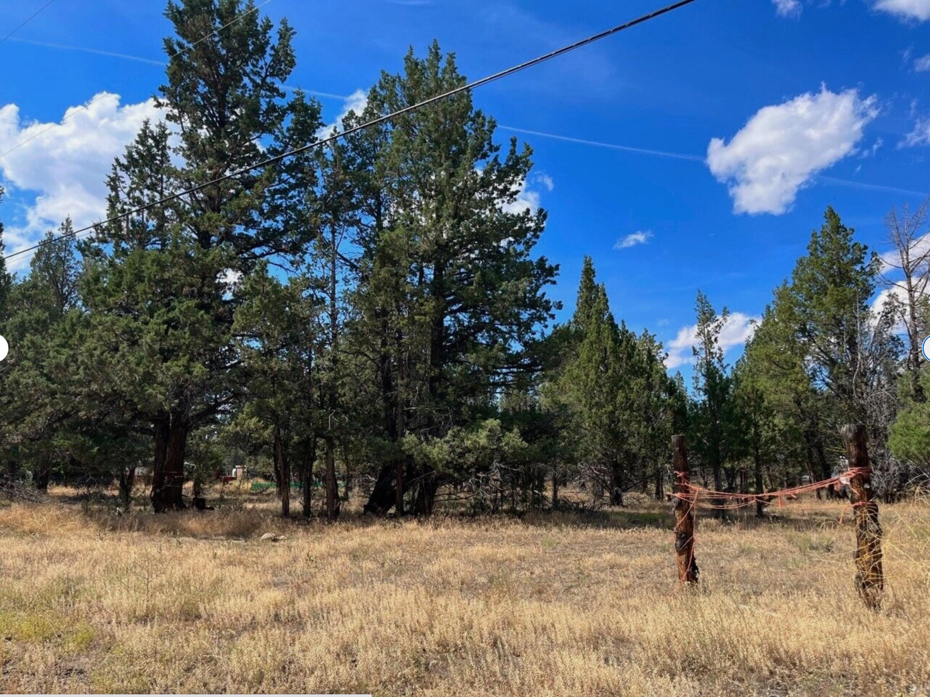 0 Goose Loop Alturas, CA 96101 - Photo 10 of 16 a view of a tree with a yard