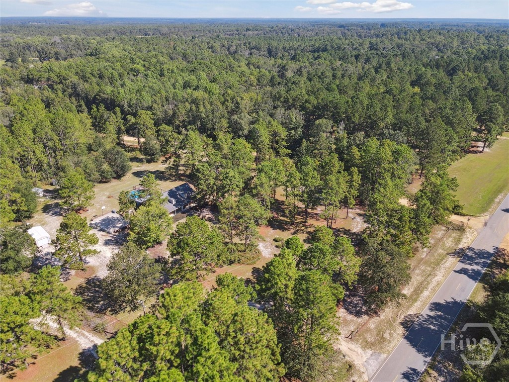 2743 Middle Ground Road Statesboro, GA 30461 - Photo 41 of 50