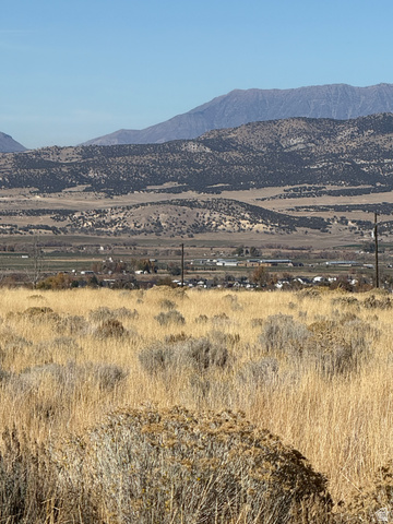 4 Pine Creek Road, Unit 4 Mount Pleasant, UT 84647 - Photo 2 of 14