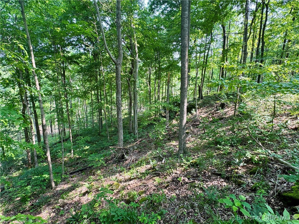 1 In-237 English, IN 47118 - Photo 11 of 20