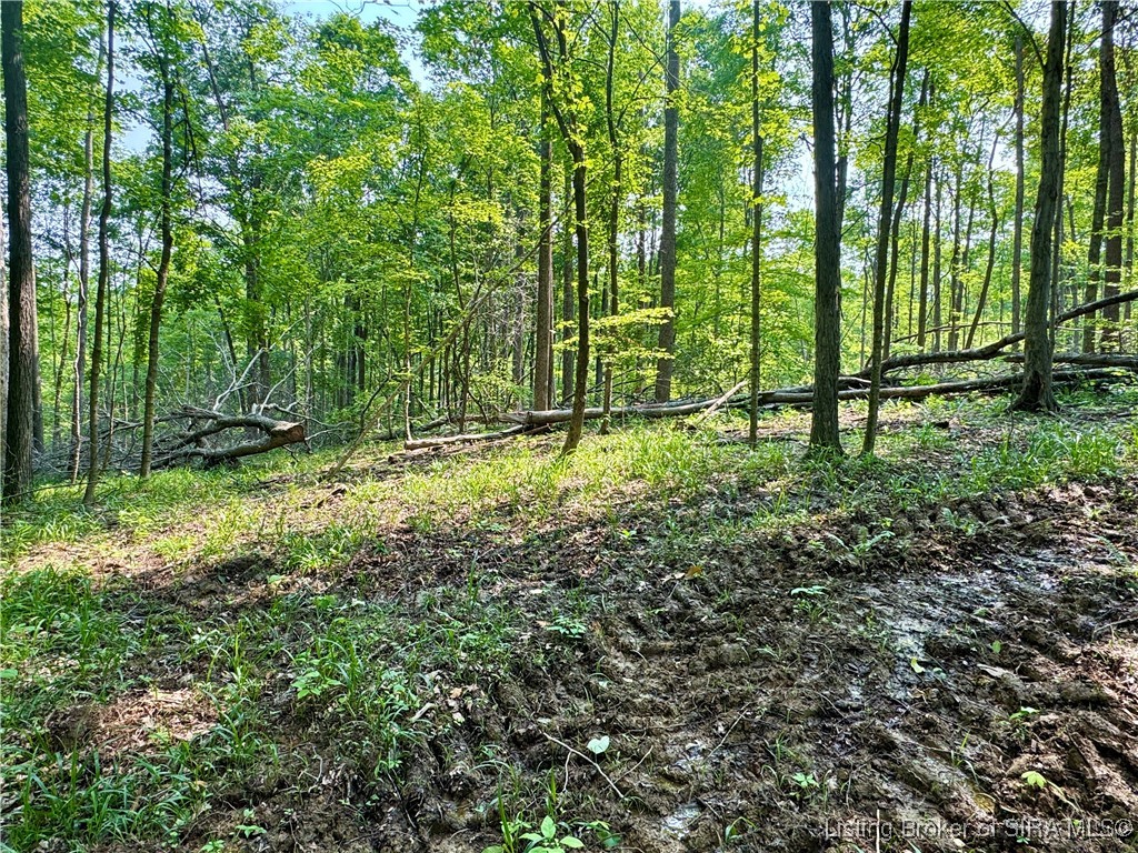 1 In-237 English, IN 47118 - Photo 12 of 20