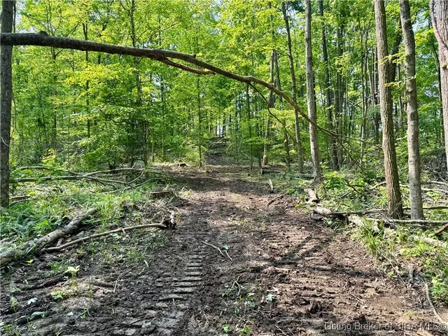 $216,480 | 1 In-237, English, IN 47118