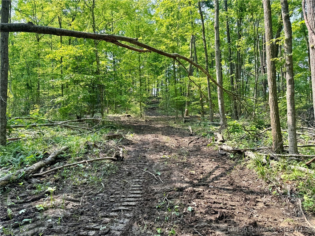 1 In-237 English, IN 47118 - Photo 13 of 20