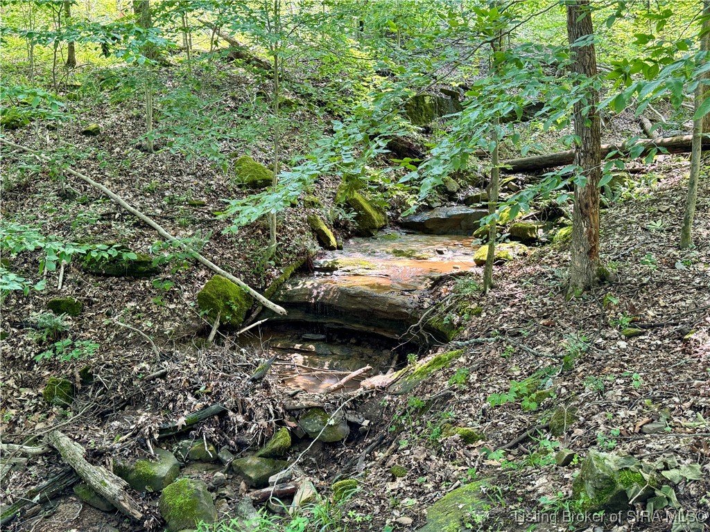 1 In-237 English, IN 47118 - Photo 15 of 20