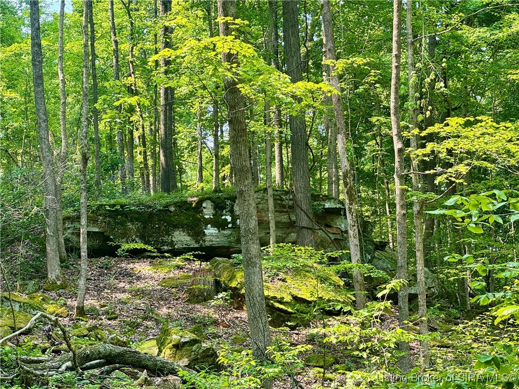 1 In-237 English, IN 47118 - Photo 16 of 20