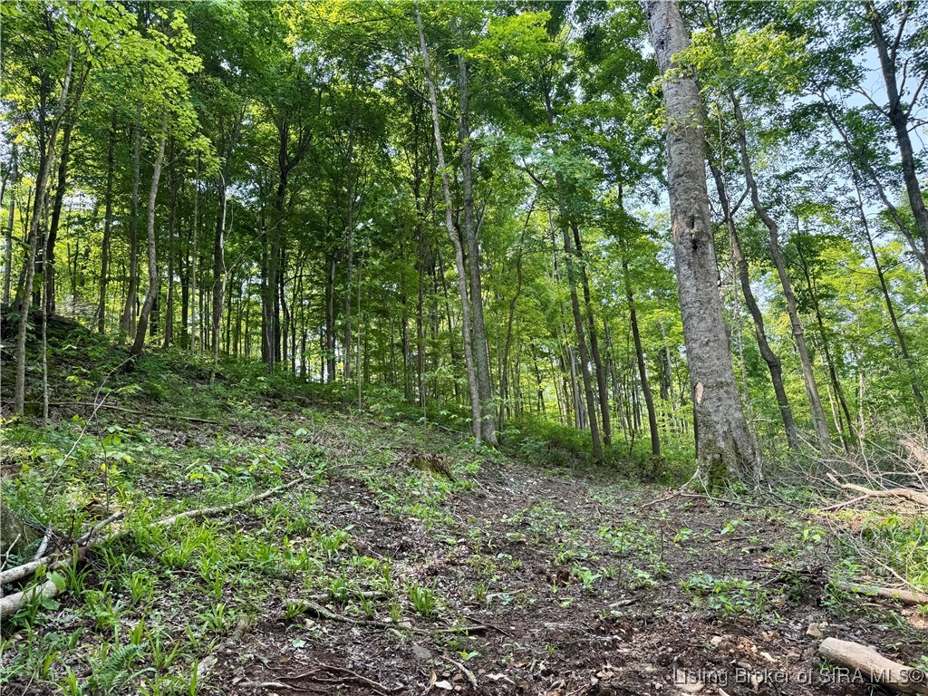 1 In-237 English, IN 47118 - Photo 17 of 20