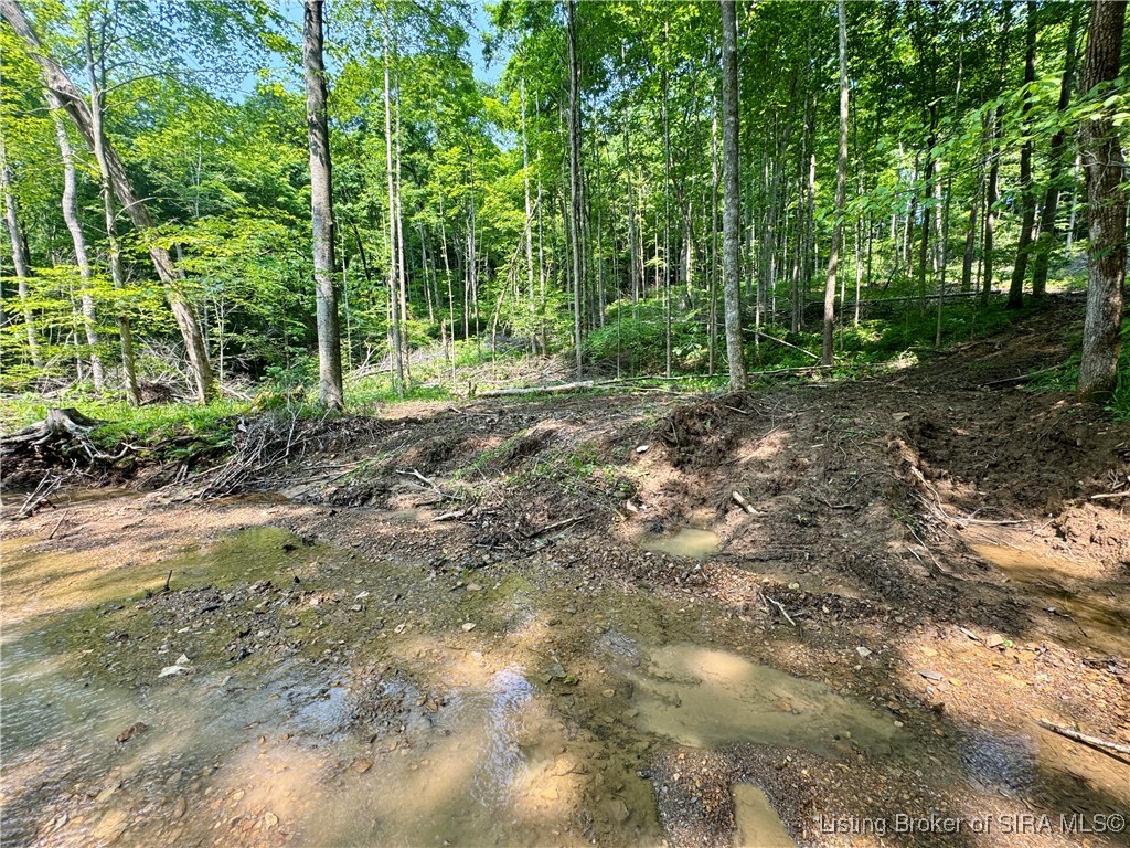 1 In-237 English, IN 47118 - Photo 19 of 20