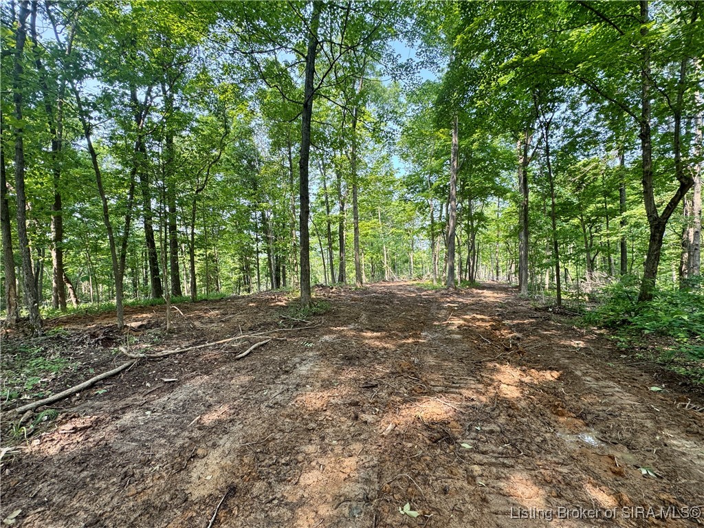 1 In-237 English, IN 47118 - Photo 6 of 20