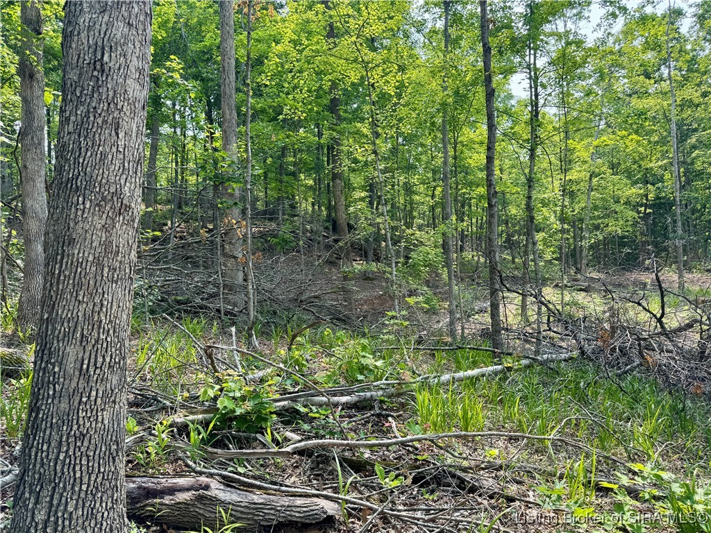 1 In-237 English, IN 47118 - Photo 8 of 20