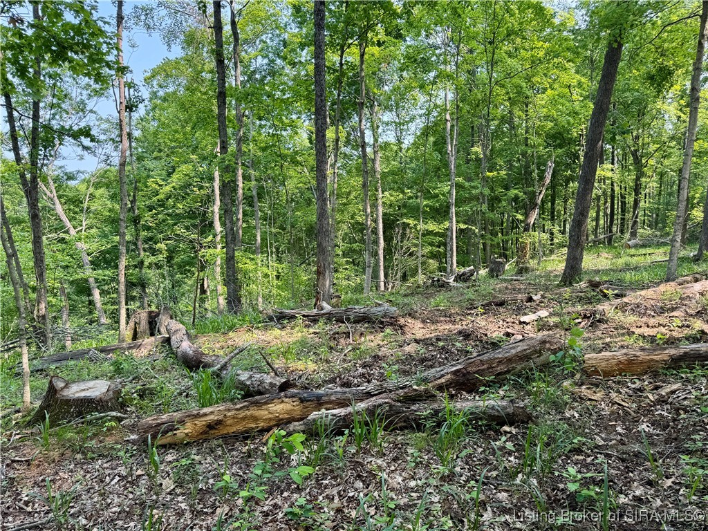 1 In-237 English, IN 47118 - Photo 9 of 20