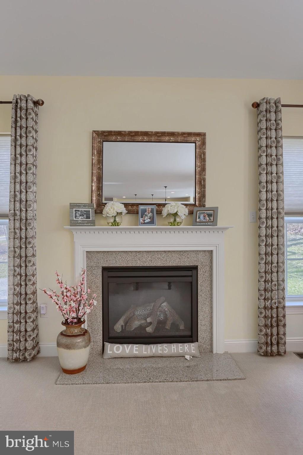 181 Overlook Road Morgantown, PA 19543 - Photo 25 of 54 Propane Fireplace