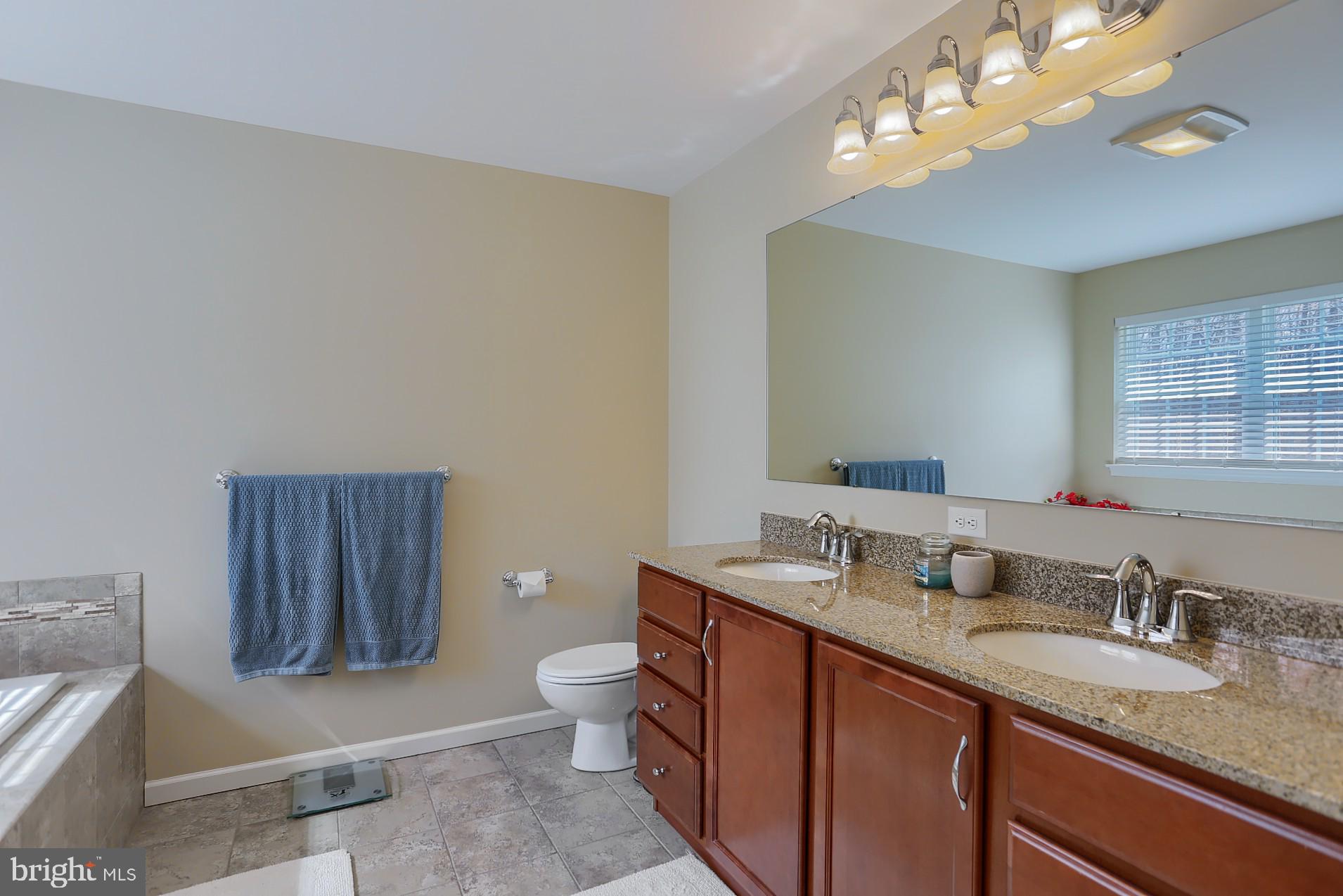 181 Overlook Road Morgantown, PA 19543 - Photo 34 of 54 Double Bowl Vanity