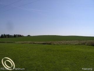 5580 Mack Road Howell, MI 48855 - Photo 7 of 7 VIEW FROM REAR OF HOME