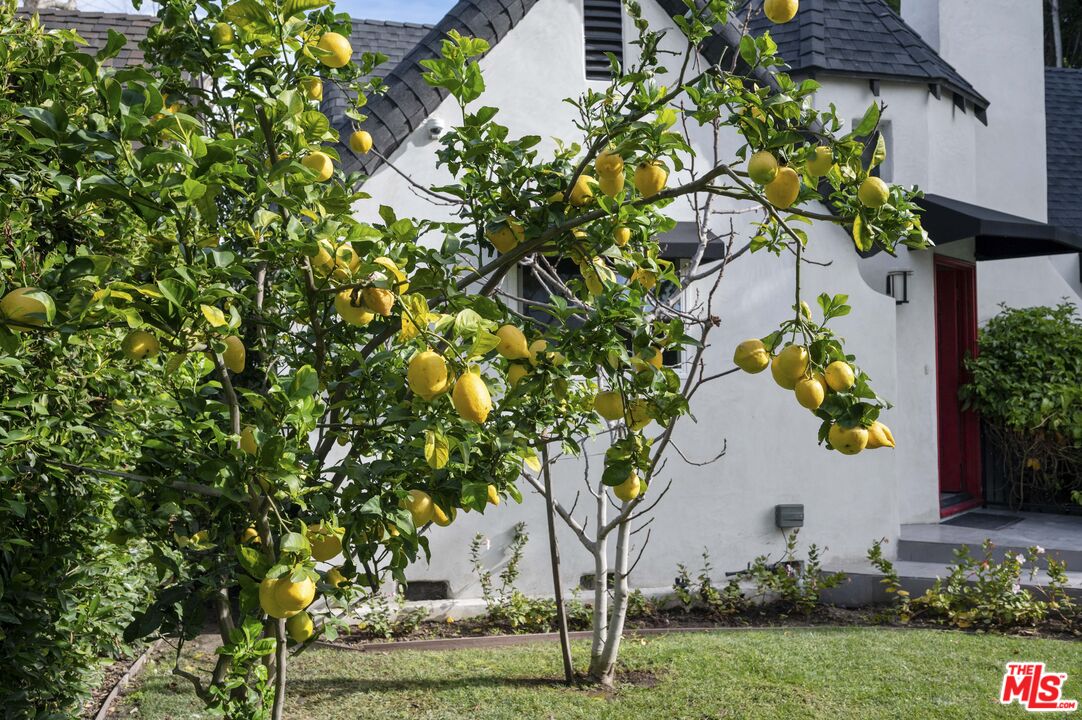 2148 Kelton Avenue Los Angeles, CA 90025 - Photo 35 of 36 a picture of plants