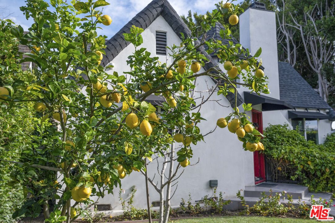 2148 Kelton Avenue Los Angeles, CA 90025 - Photo 36 of 36 a picture of plants