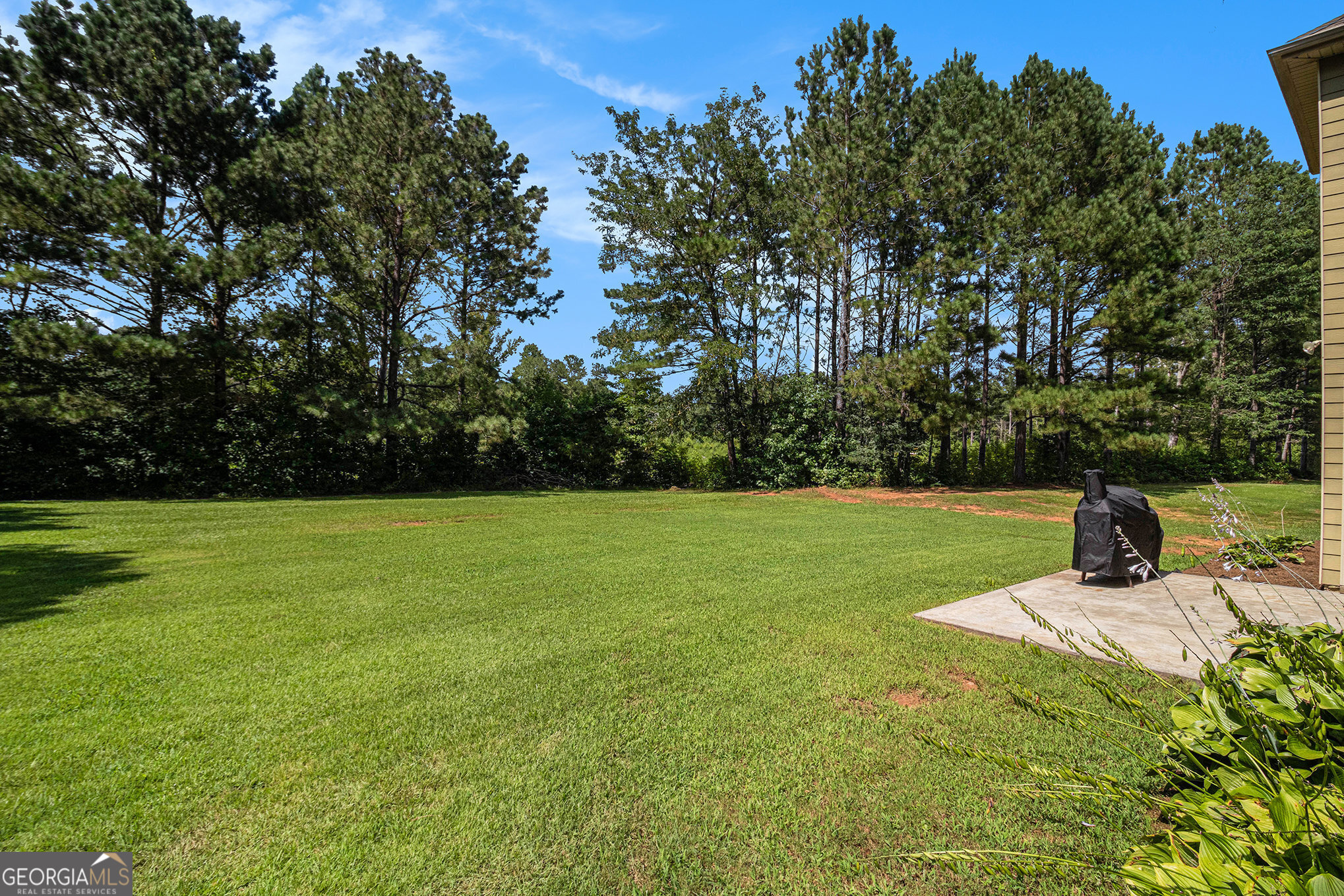 466 Austin Storey Circle Newnan, GA 30263 - Photo 30 of 38 a view of a green field