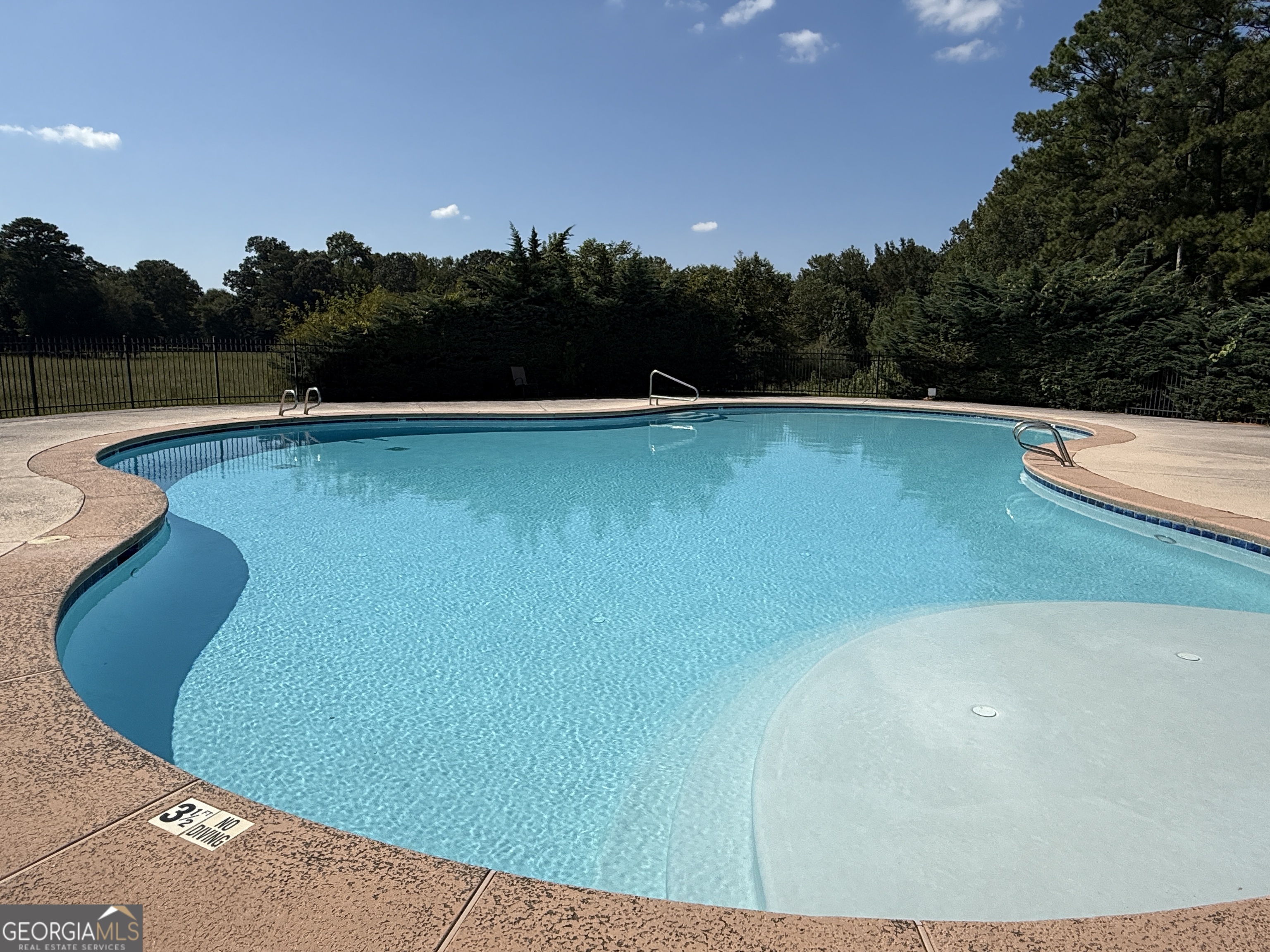 466 Austin Storey Circle Newnan, GA 30263 - Photo 37 of 38 a view of a swimming pool with lake and trees in the back