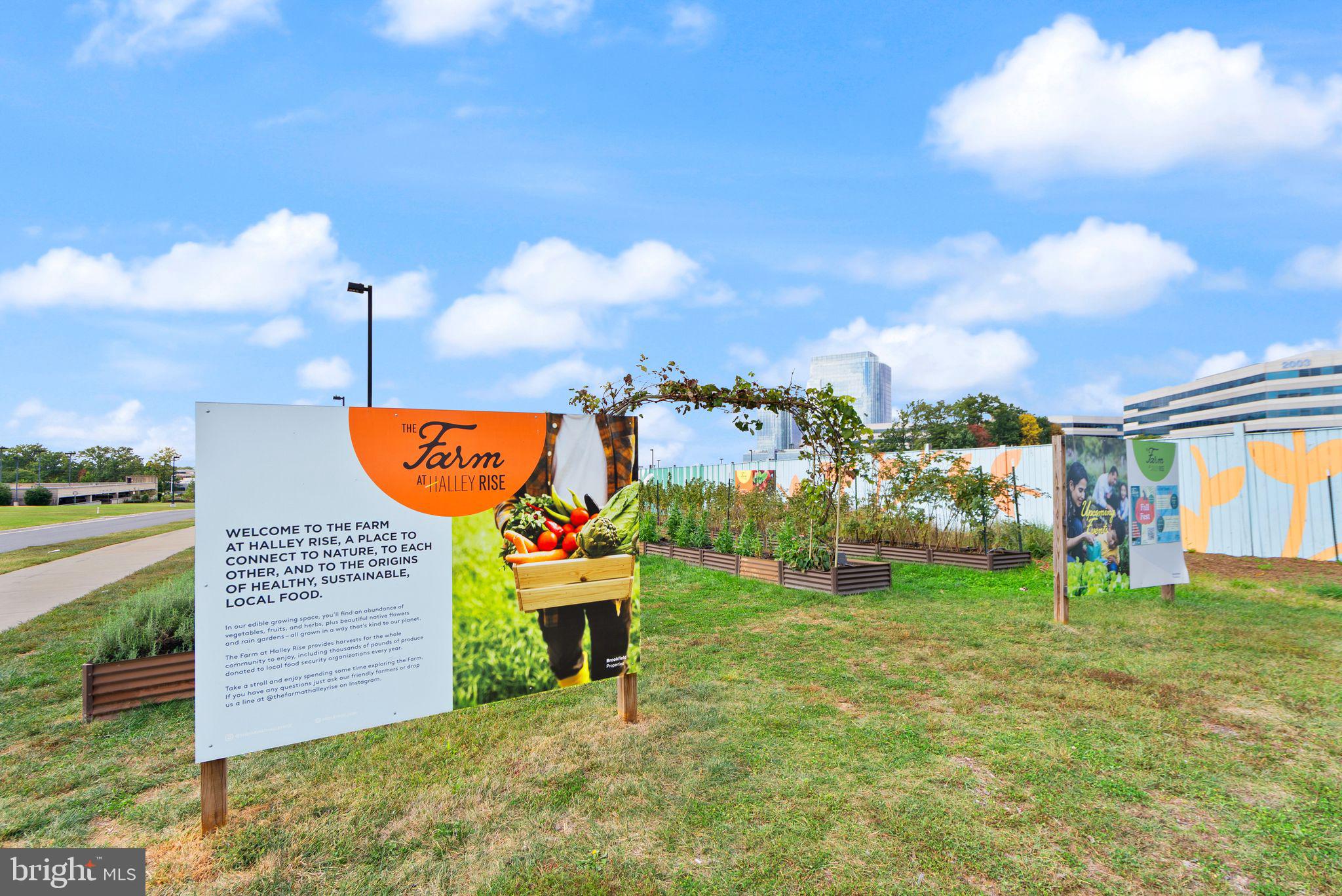 2042 Royal Fern Court, Unit 1B Reston, VA 20191 - Photo 48 of 51 The Farm at Halley Rise