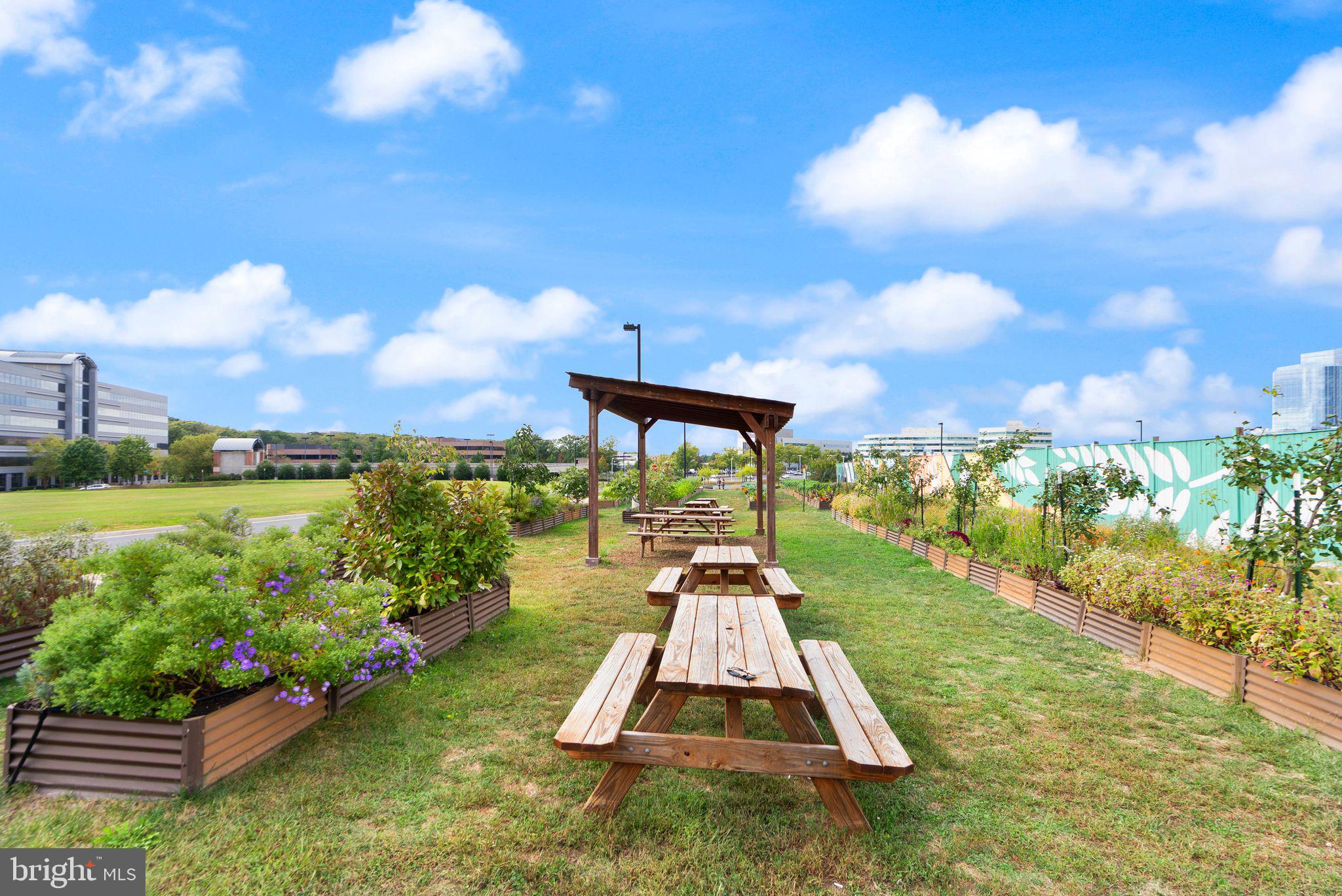 2042 Royal Fern Court, Unit 1B Reston, VA 20191 - Photo 49 of 51 Enjoy picking produce and summer concerts