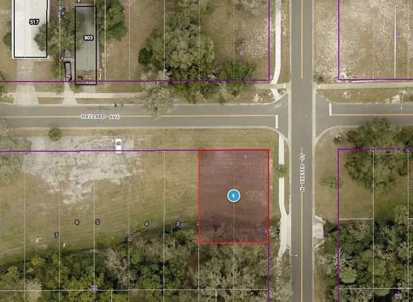 $24,900 | Tbd North Exeter Street, Eustis, FL 32726