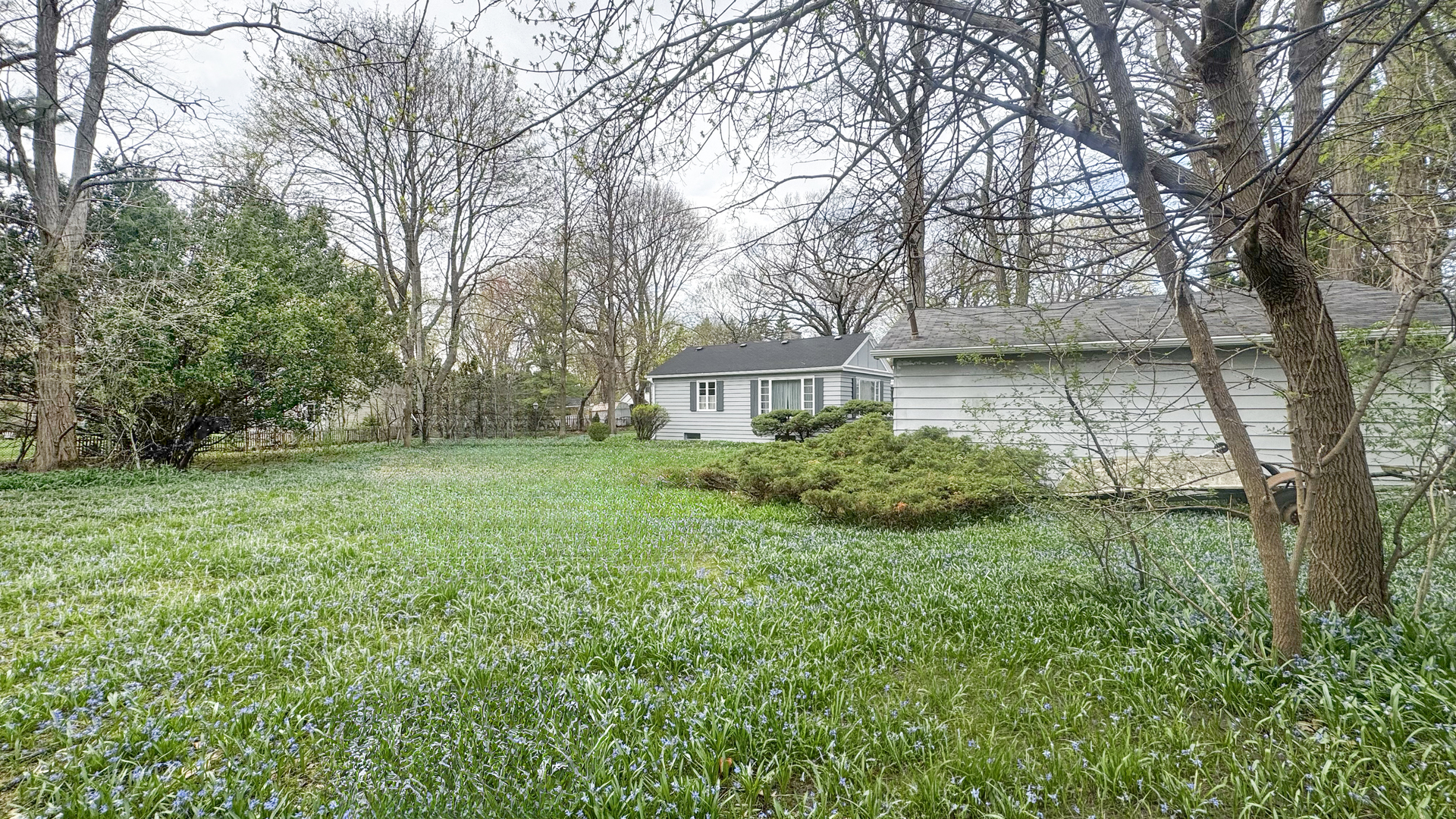 1848 North Sheridan Road Waukegan, IL 60087 - Photo 7 of 27 a view of backyard with green space