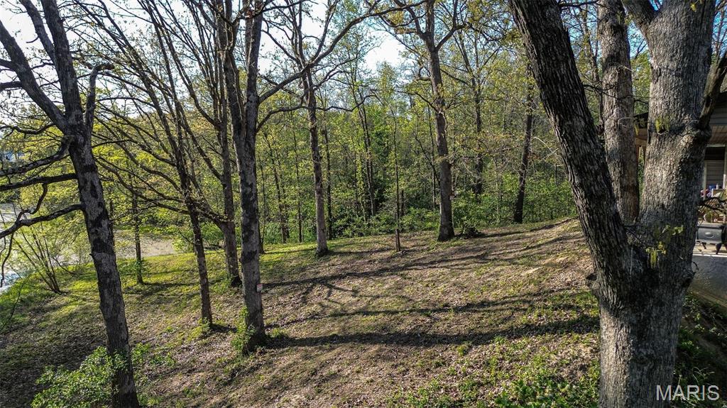 343 Prairie Lane Alton, IL 62002 - Photo 12 of 98