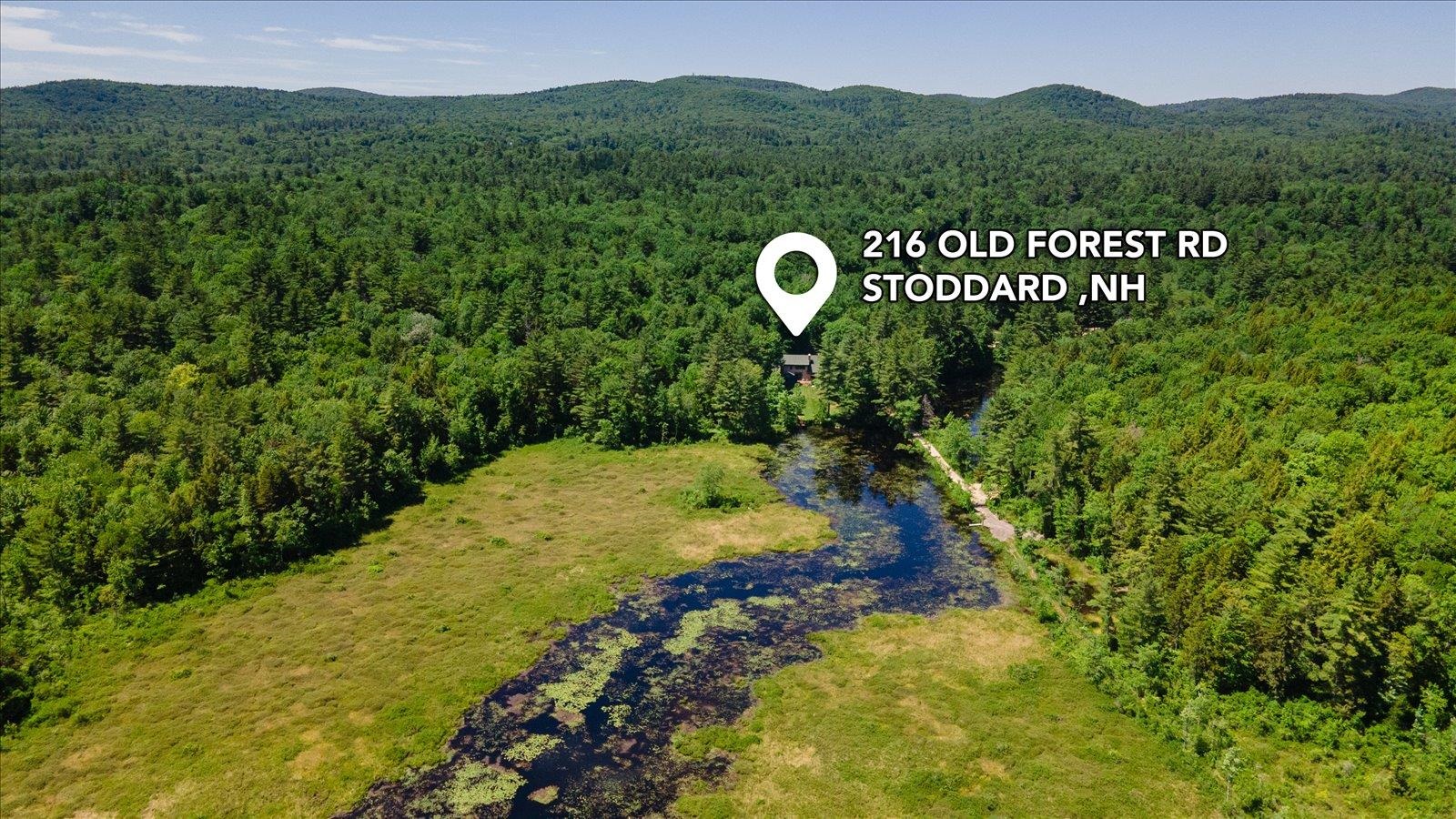 216 Old Forest Road Stoddard, NH 03464 - Photo 3 of 43