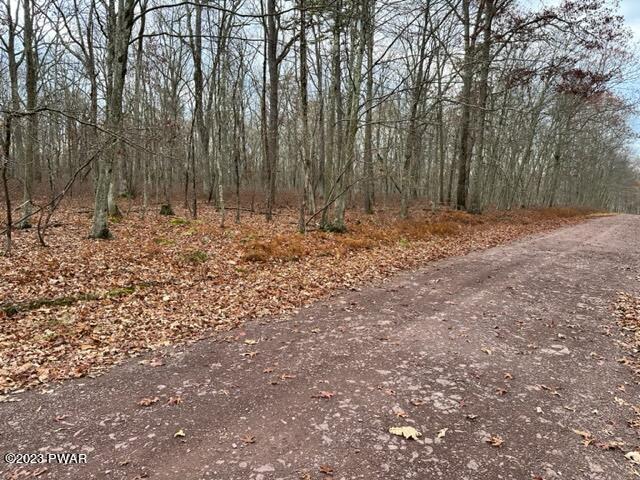 149 Mountain Top Road Lackawaxen, PA 18435 - Photo 8 of 13