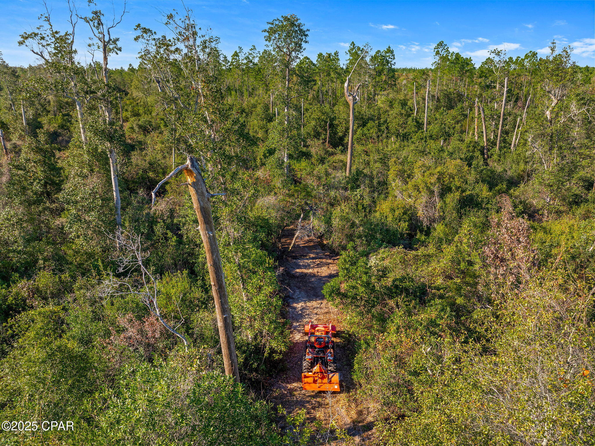 274 Northwest County Road 274 Altha, FL 32421 - Photo 12 of 19