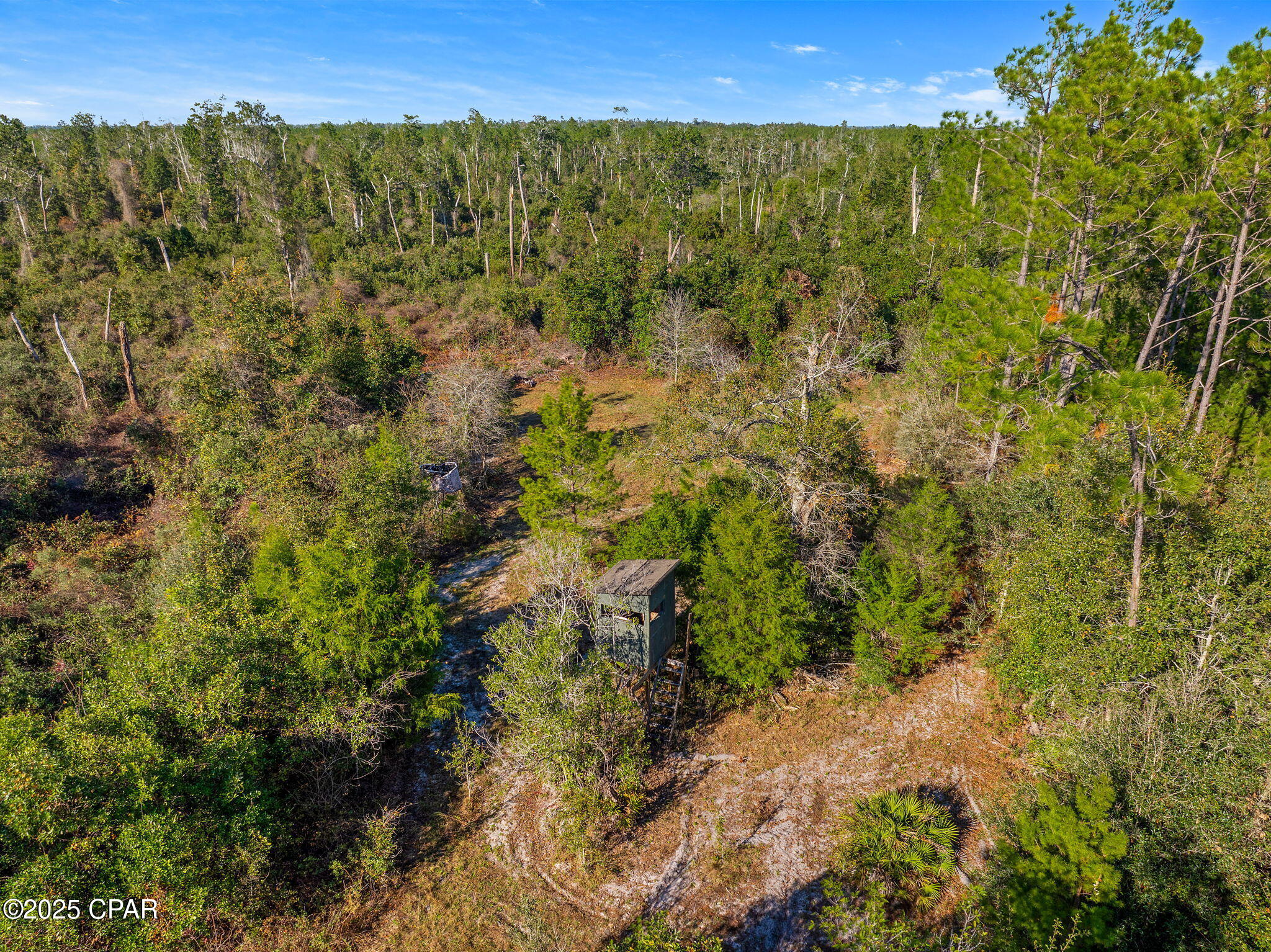 274 Northwest County Road 274 Altha, FL 32421 - Photo 15 of 19