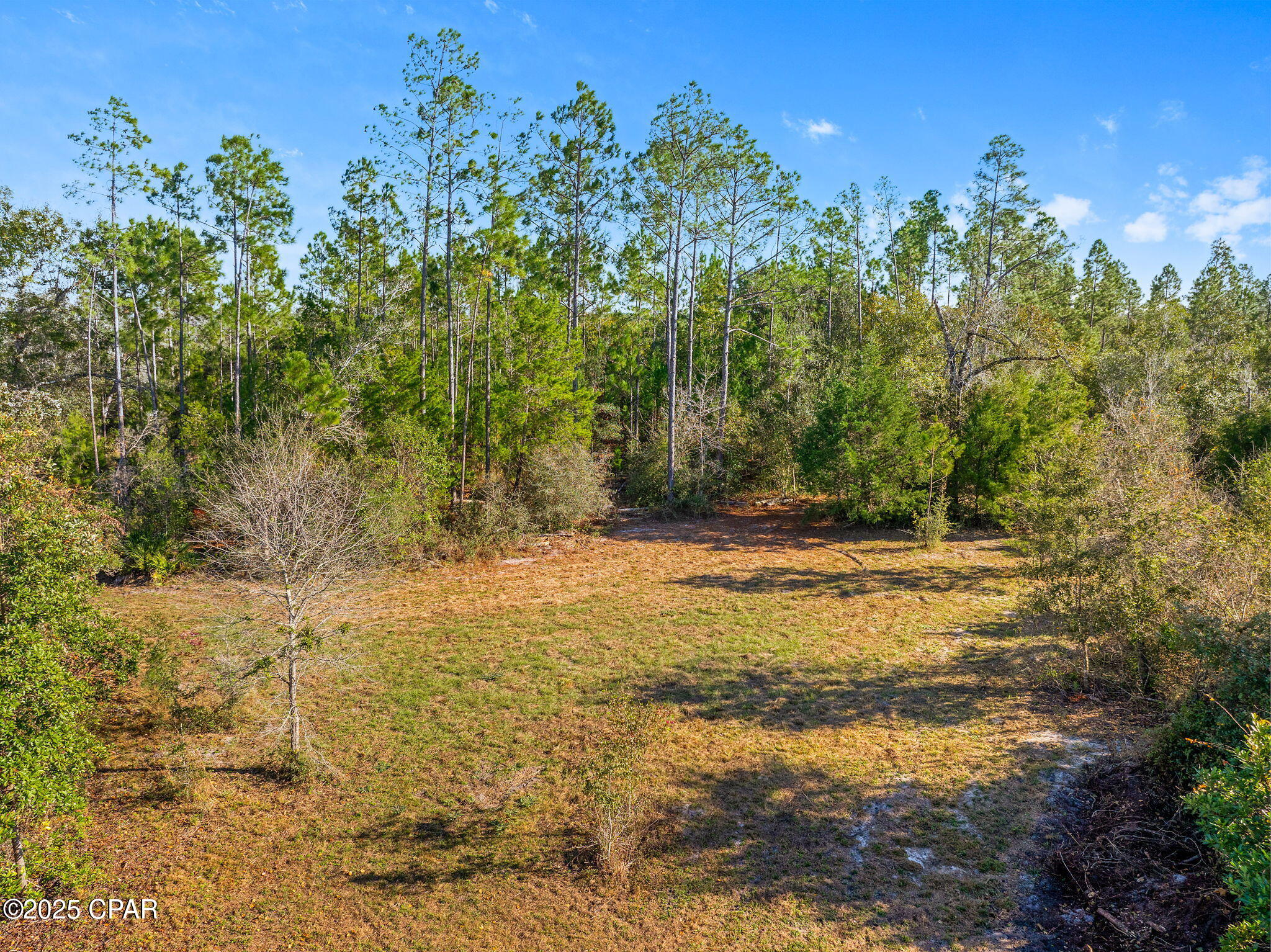 274 Northwest County Road 274 Altha, FL 32421 - Photo 16 of 19