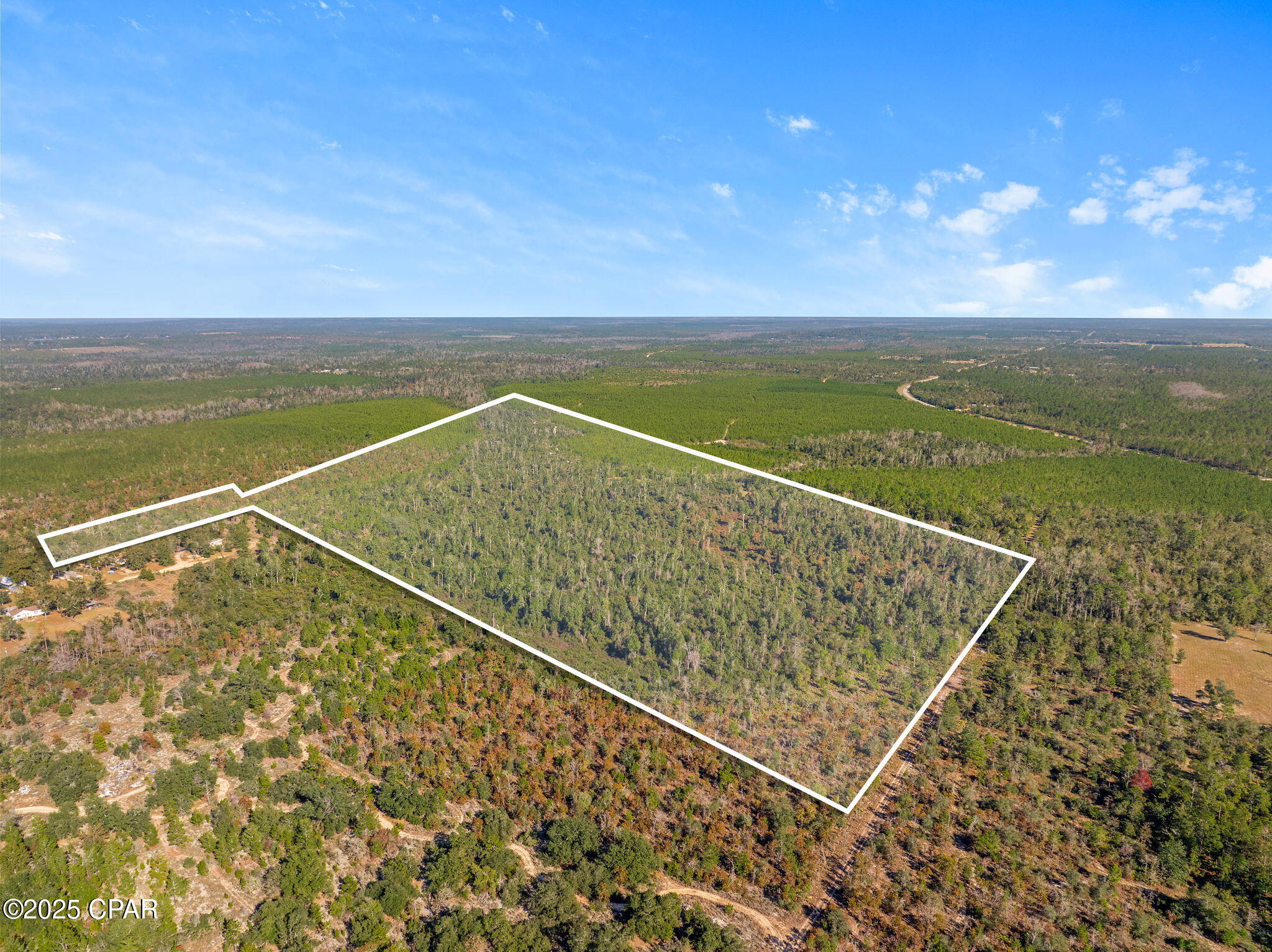 274 Northwest County Road 274 Altha, FL 32421 - Photo 19 of 19