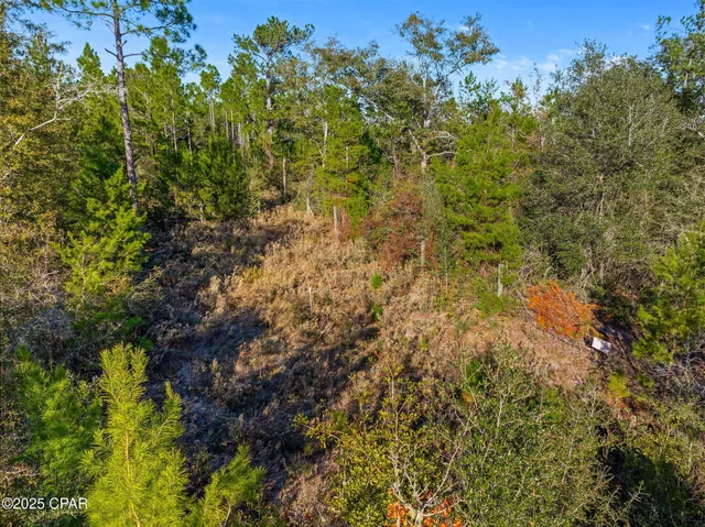 $310,000 | 274 Northwest County Road 274, Altha, FL 32421