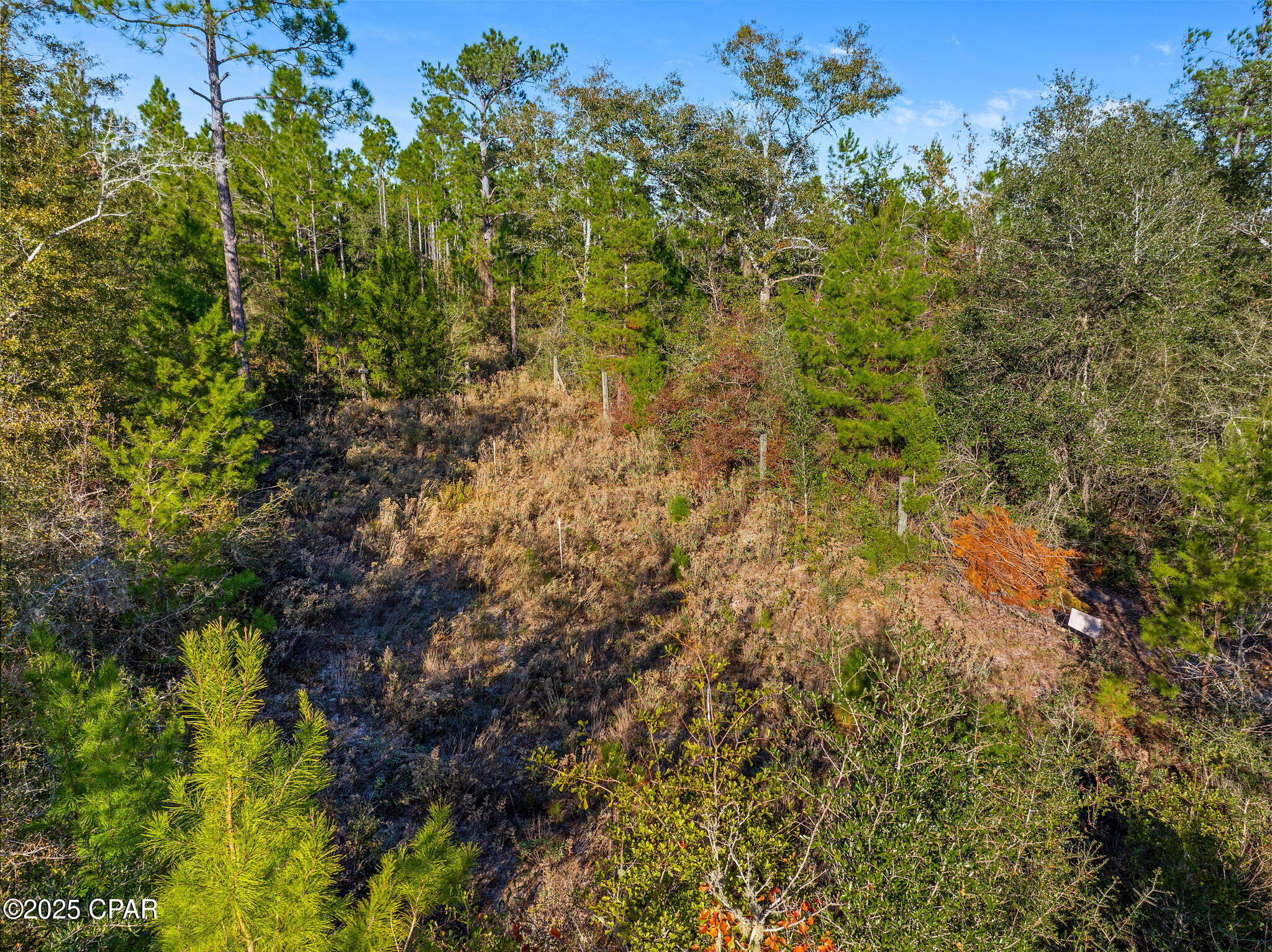 274 Northwest County Road 274 Altha, FL 32421 - Photo 2 of 19