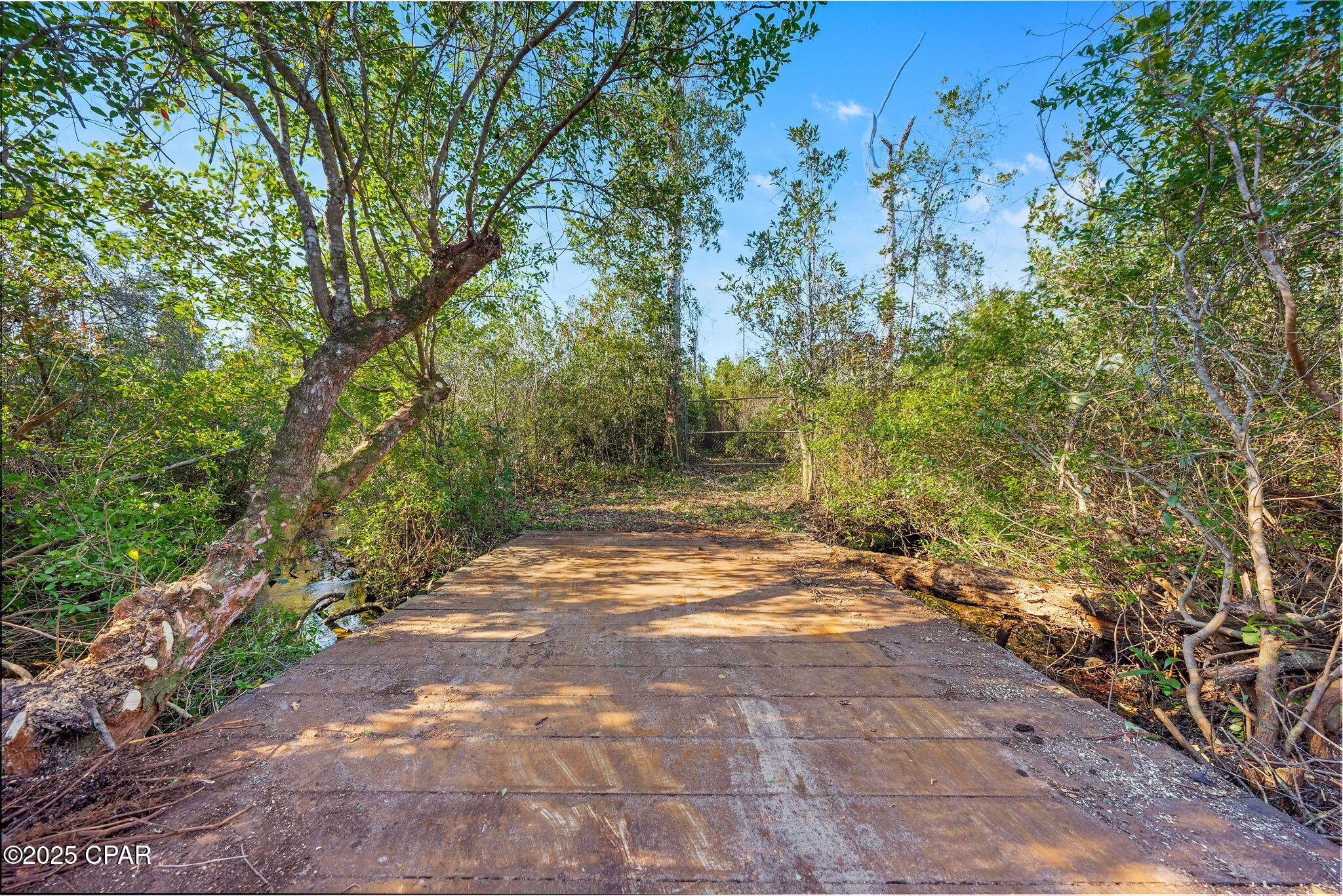 274 Northwest County Road 274 Altha, FL 32421 - Photo 3 of 19