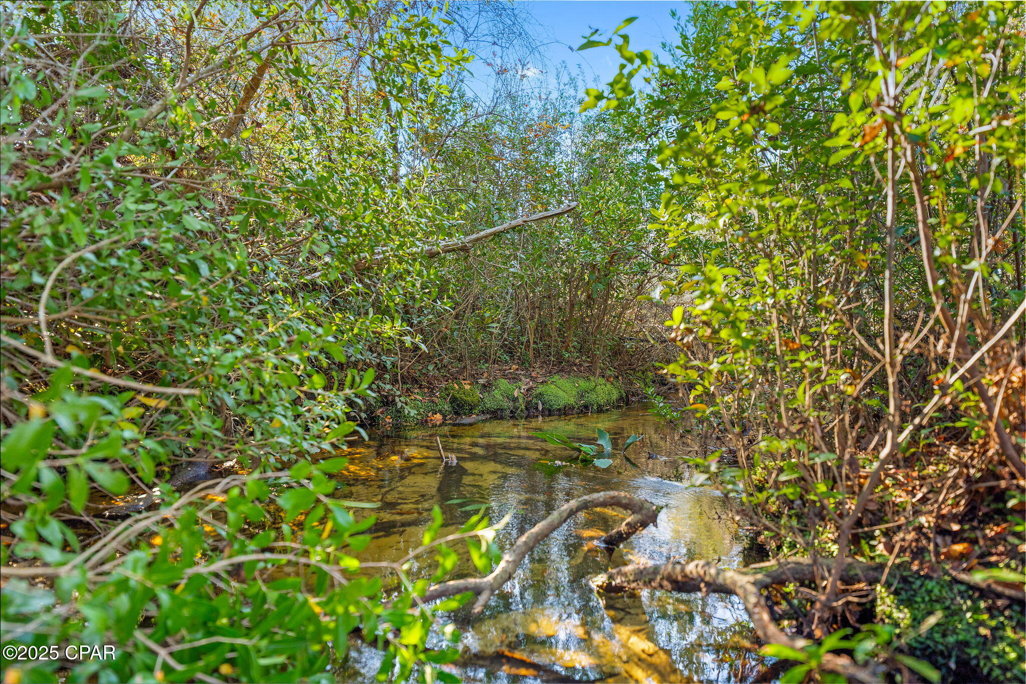 274 Northwest County Road 274 Altha, FL 32421 - Photo 4 of 19