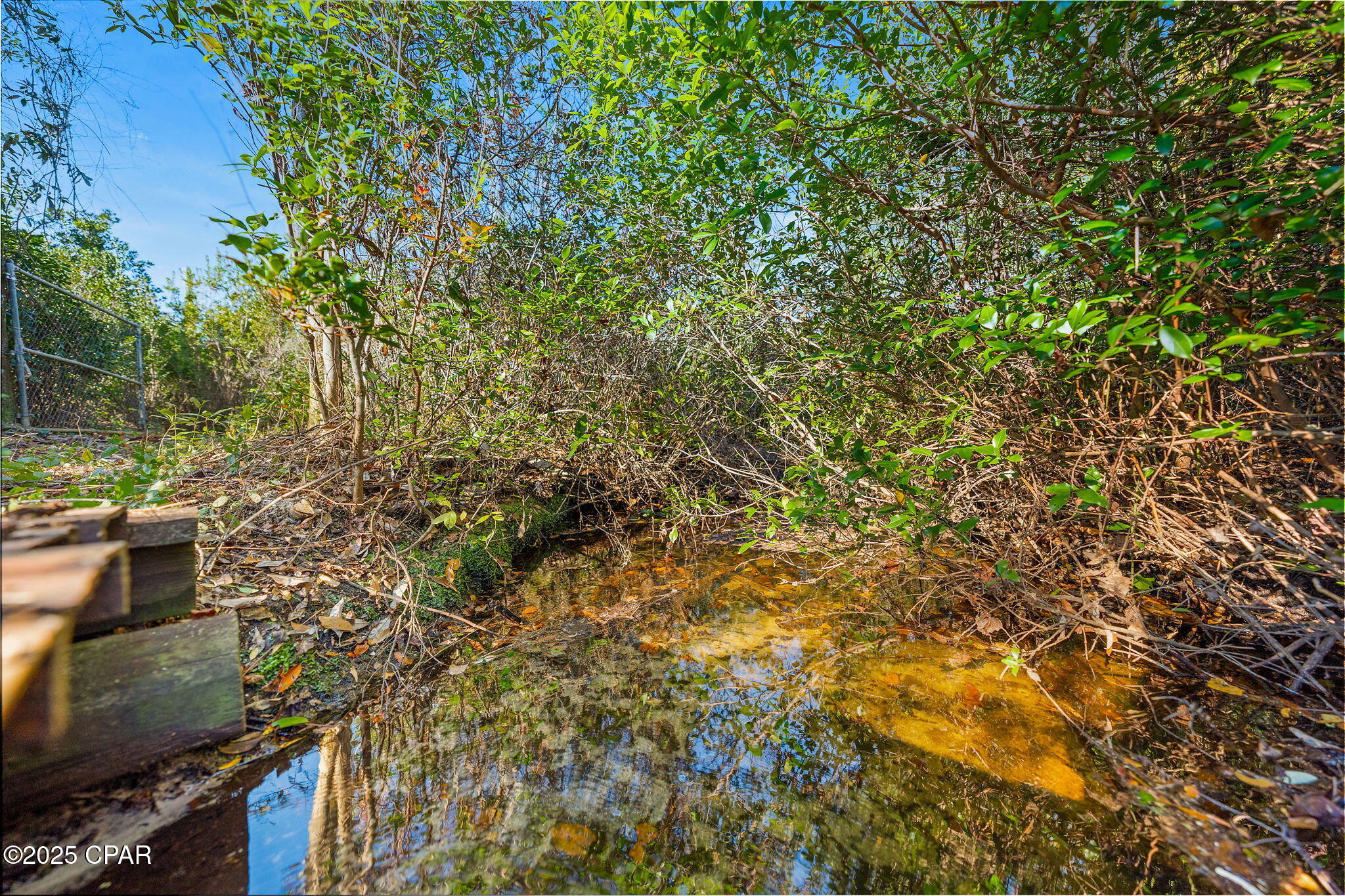 274 Northwest County Road 274 Altha, FL 32421 - Photo 5 of 19