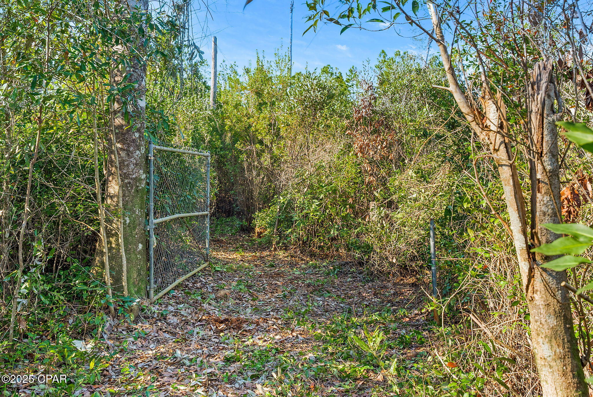 274 Northwest County Road 274 Altha, FL 32421 - Photo 6 of 19