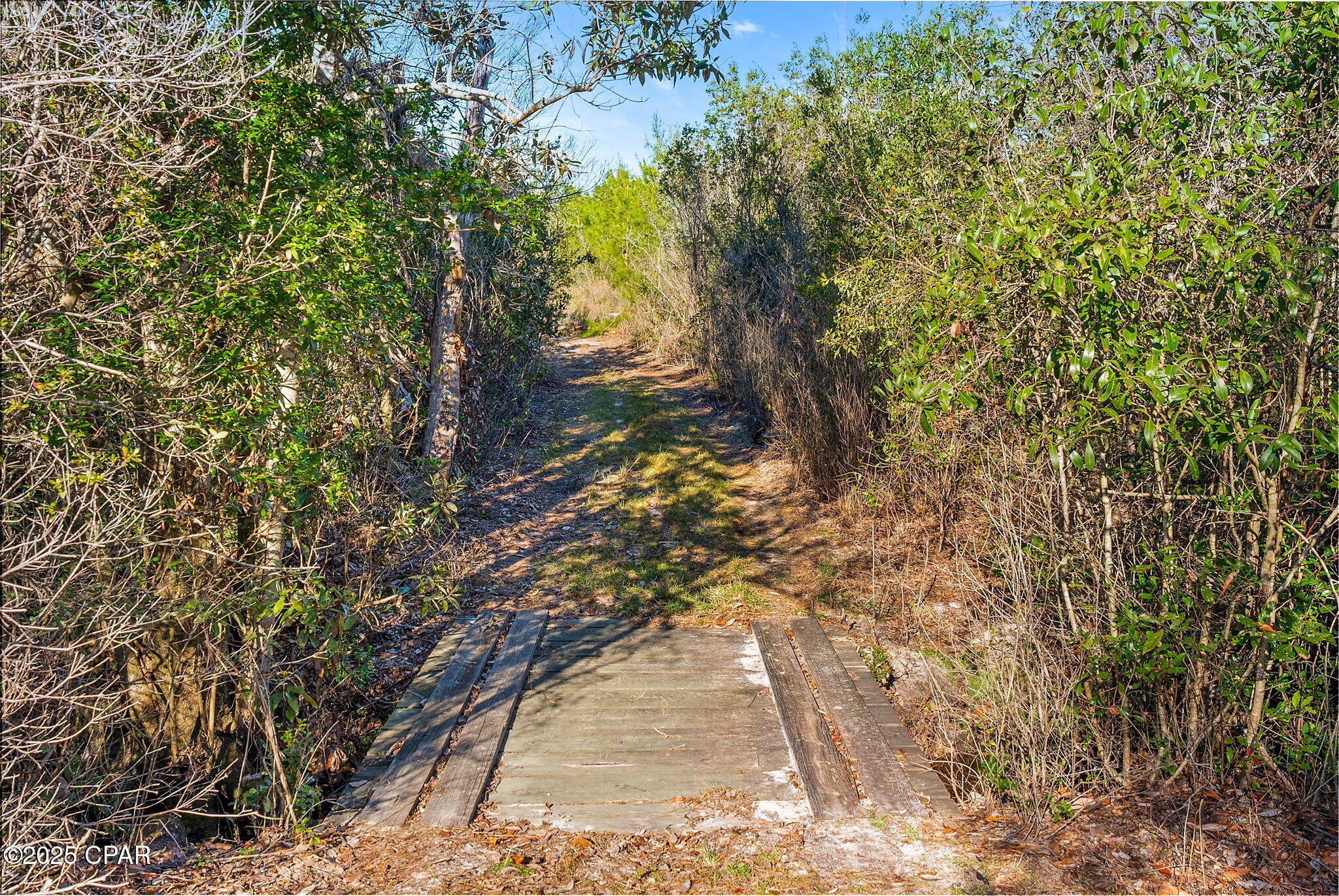 274 Northwest County Road 274 Altha, FL 32421 - Photo 7 of 19