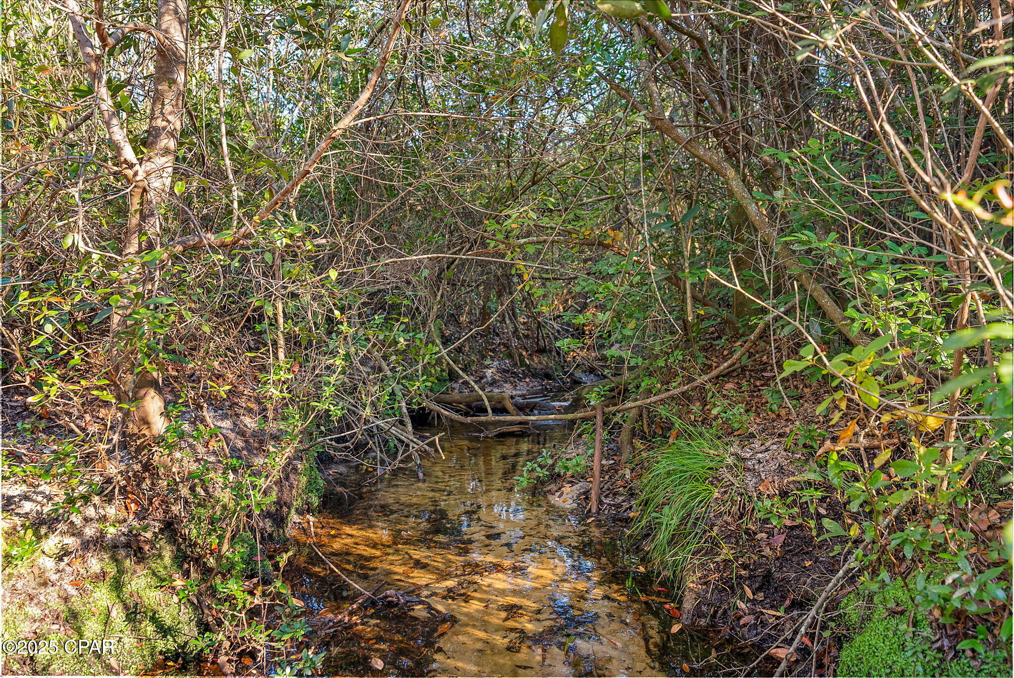 274 Northwest County Road 274 Altha, FL 32421 - Photo 8 of 19