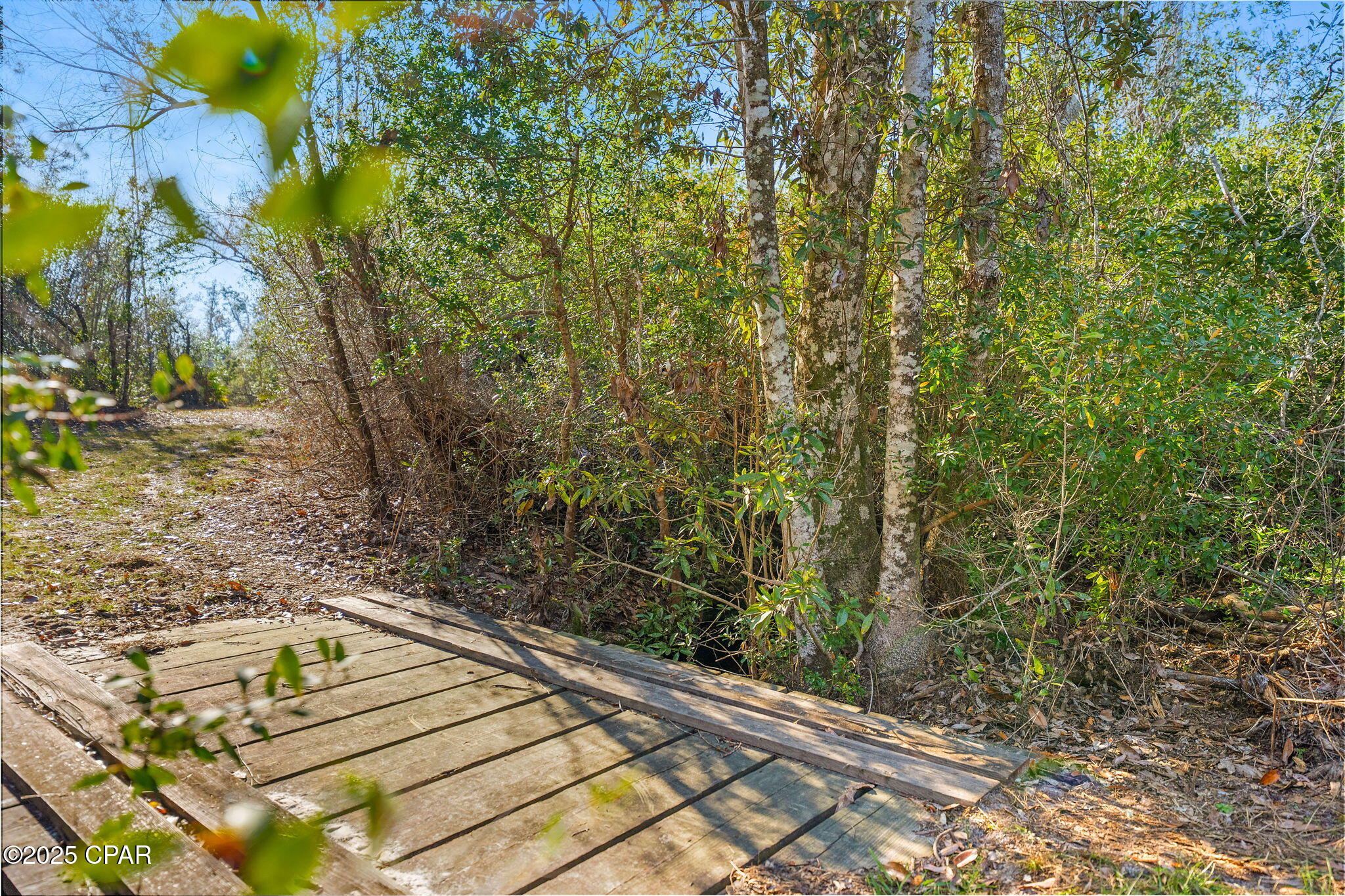 274 Northwest County Road 274 Altha, FL 32421 - Photo 9 of 19