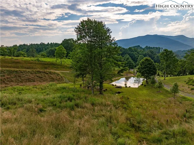 a view of a lush green space