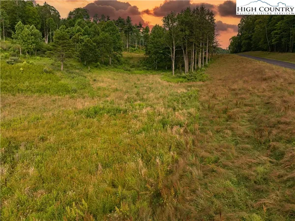 a view of a field with a tree